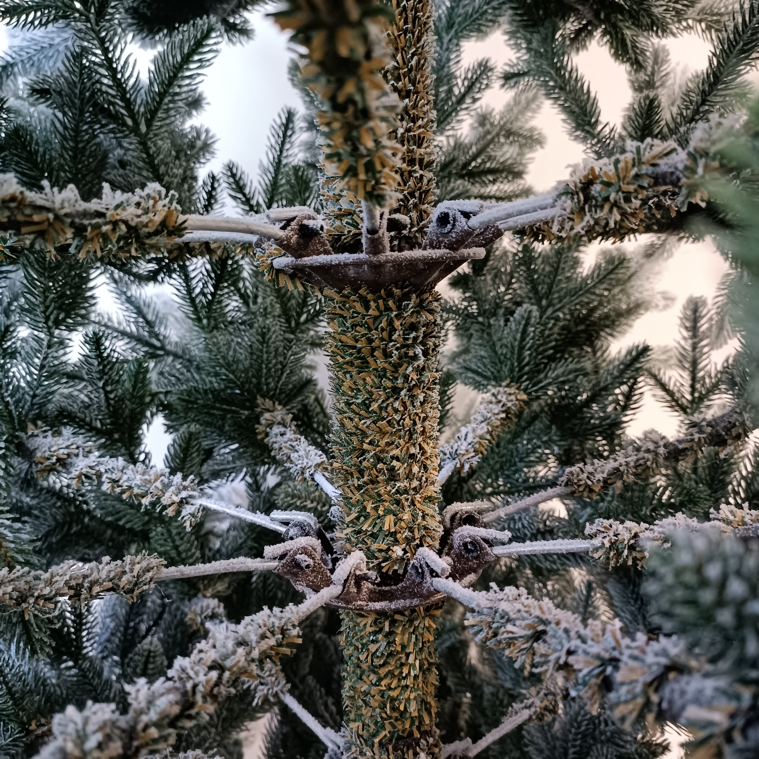 СЬЮЗАН. Elki_grodno