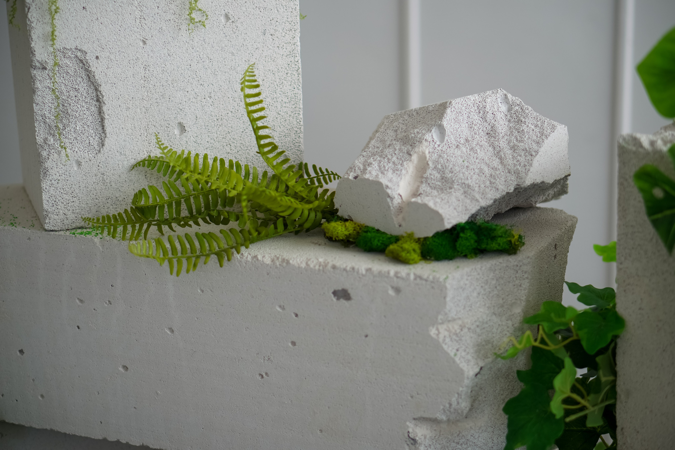 Зал Life фотостудия Импульс. Фотостудия в Саратове. Фотограф в Саратове