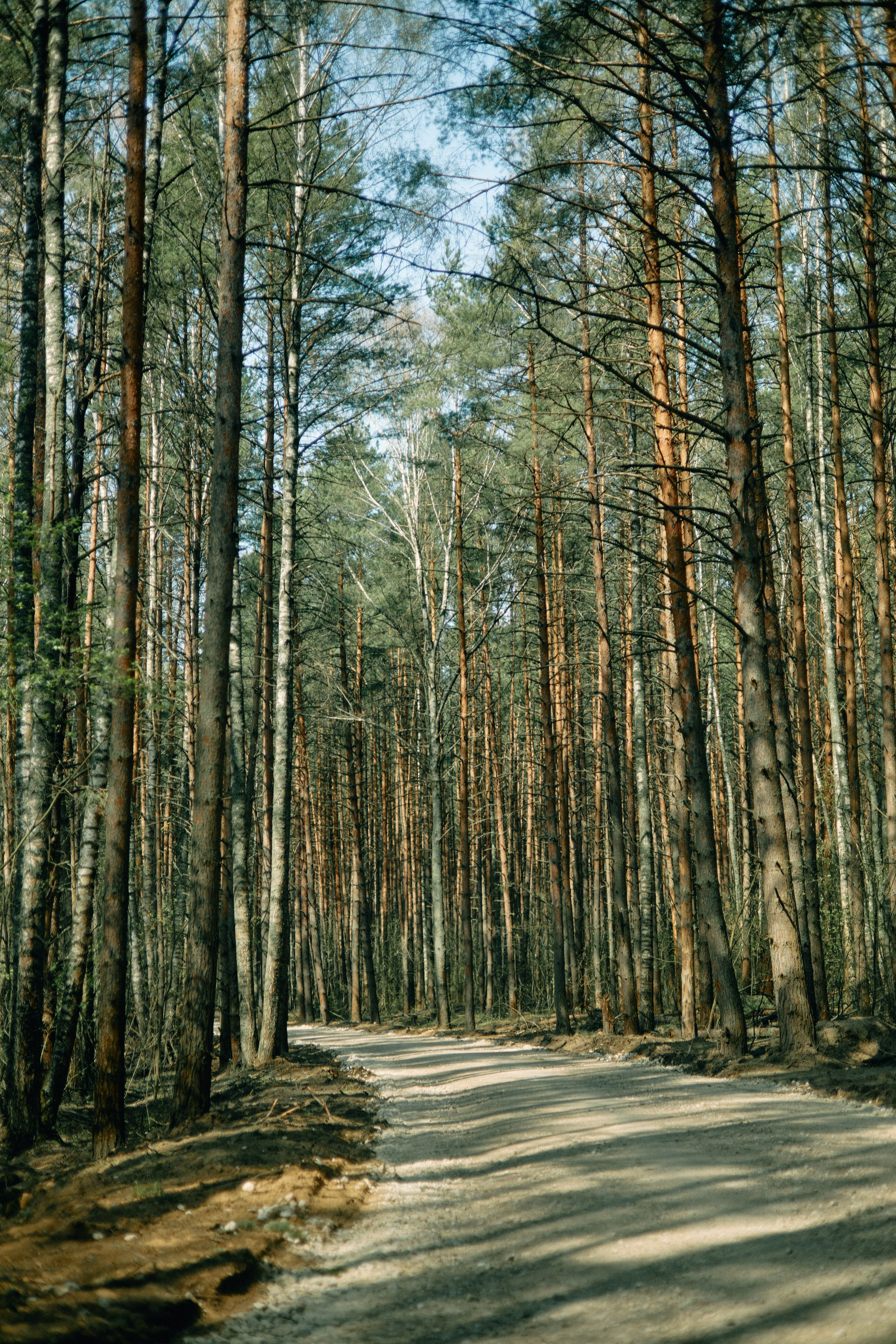 Бутик-отель Поле летом. Профессиональный Фотограф во Владимире, в Москве и в Суздале — Полина Романычева