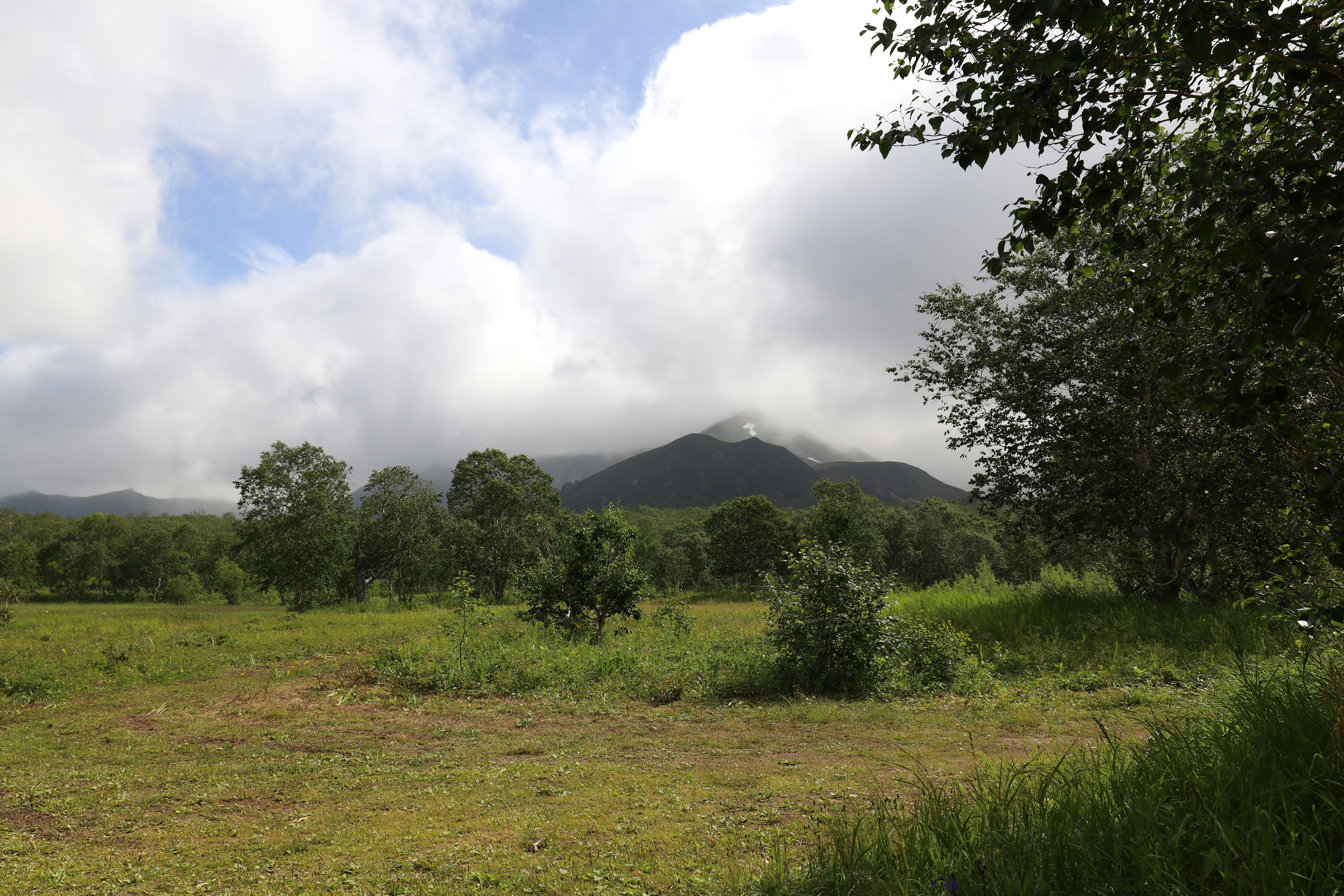 Камчатка и о. Парамушир. Июль 2024. Путешественник-фотограф из Санкт-Петербурга Татьяна Свистулина