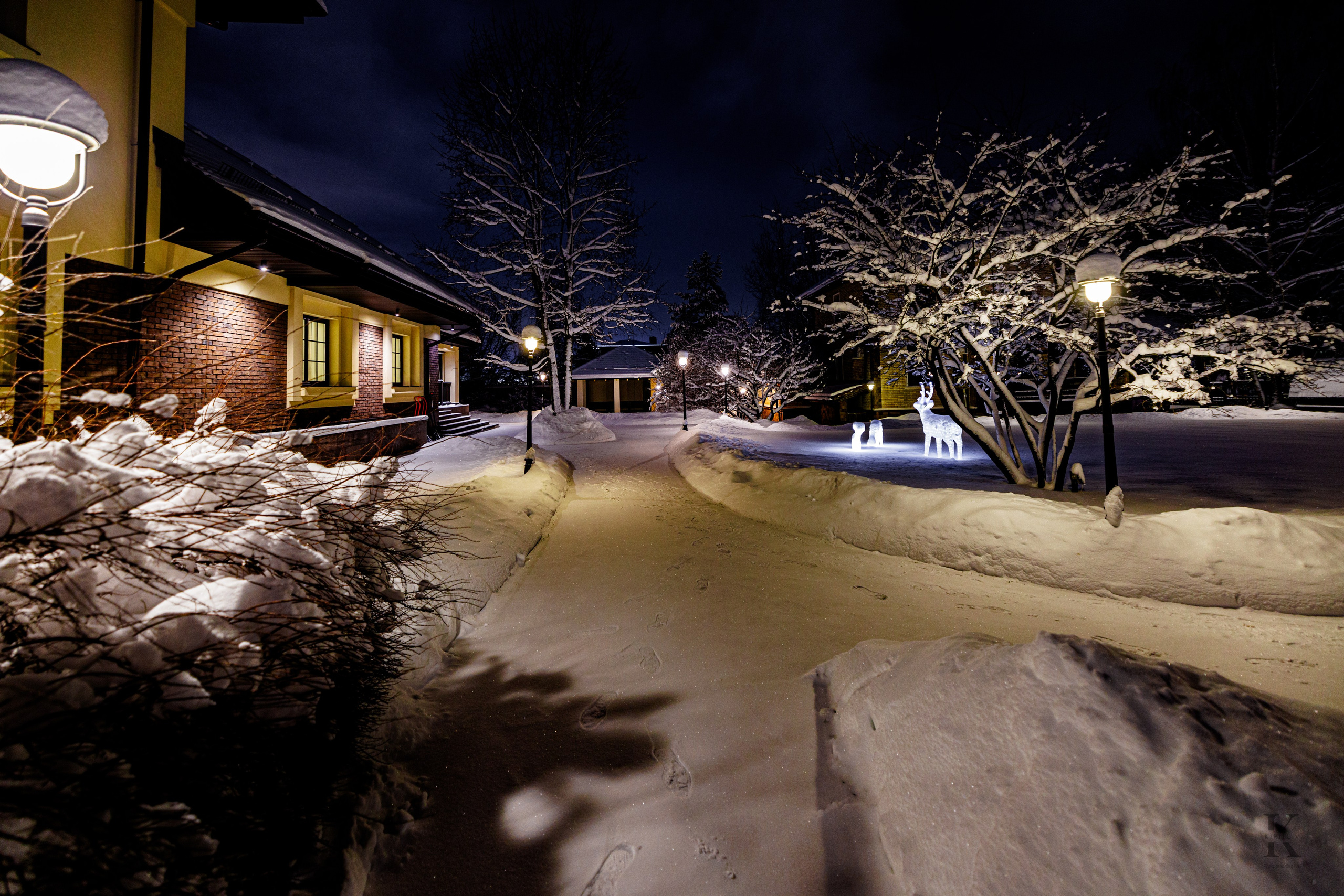 Природа 31 Декабря 2025 года. Клены. Фотографирую жизнь! Московский фотограф волонтер