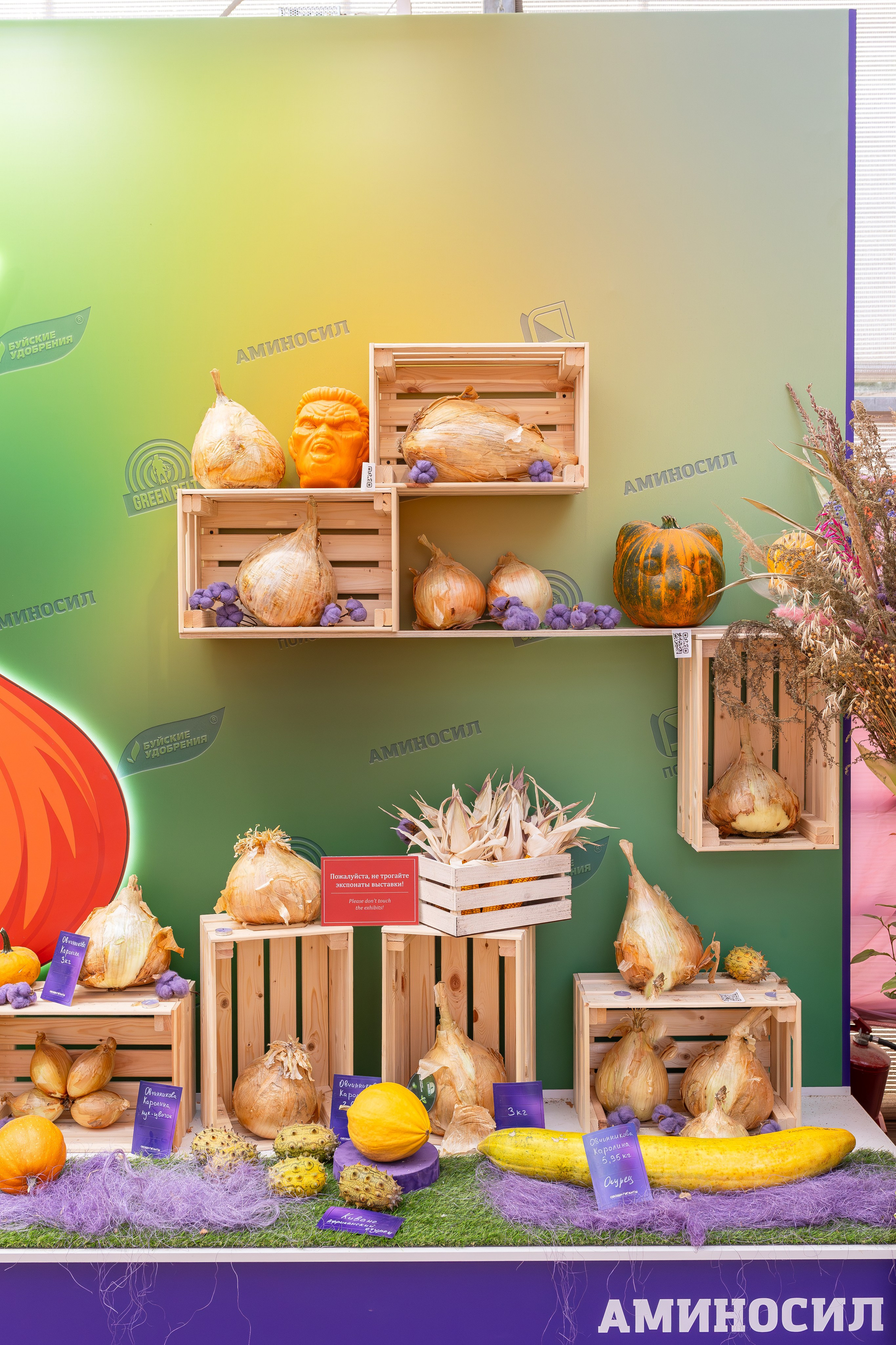 Овощи-гиганты. Александра Куликова фотограф, Москва