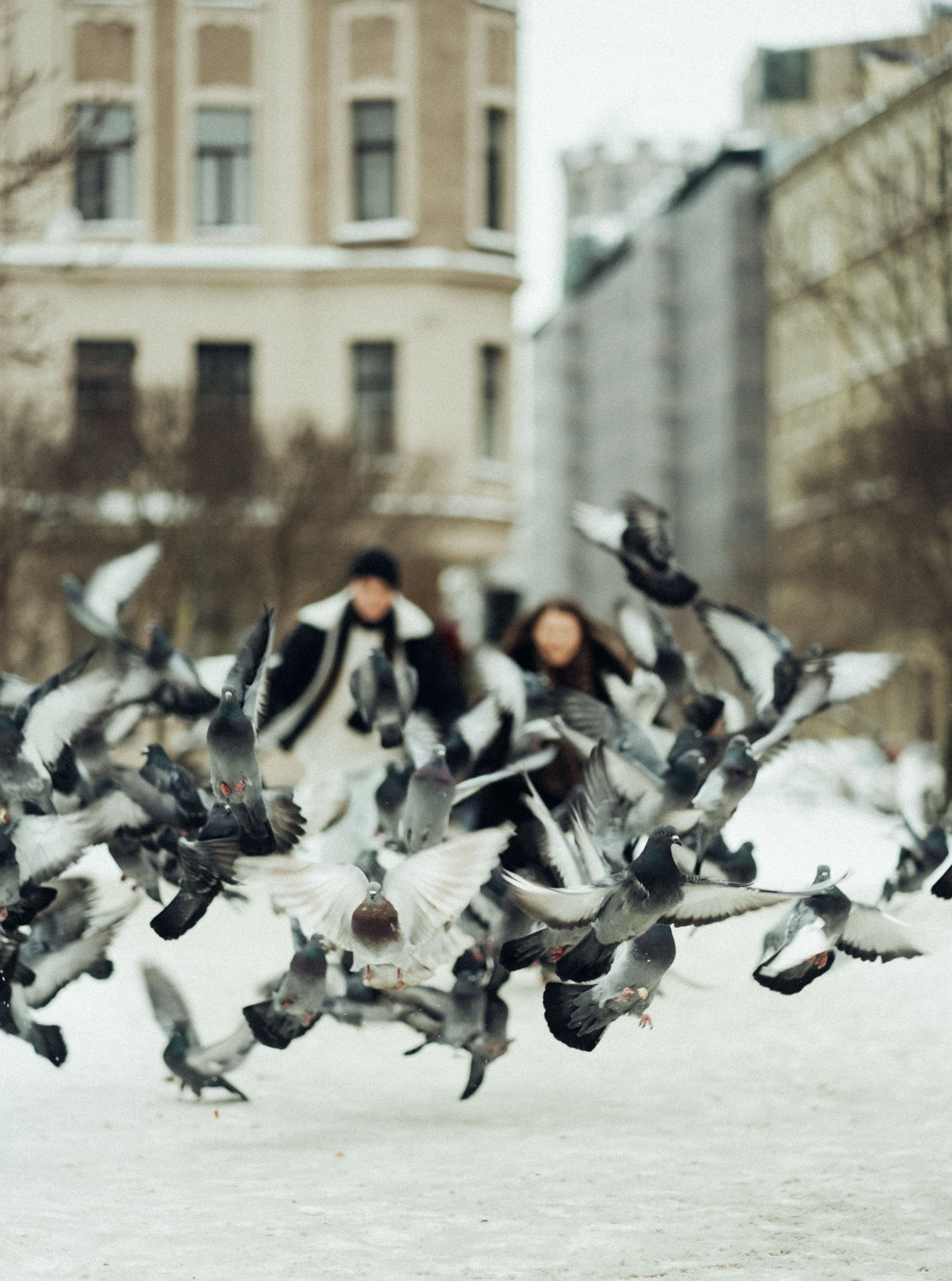 Марина и Антон. Фотограф г. Санкт-Петербург Александра Катанакова