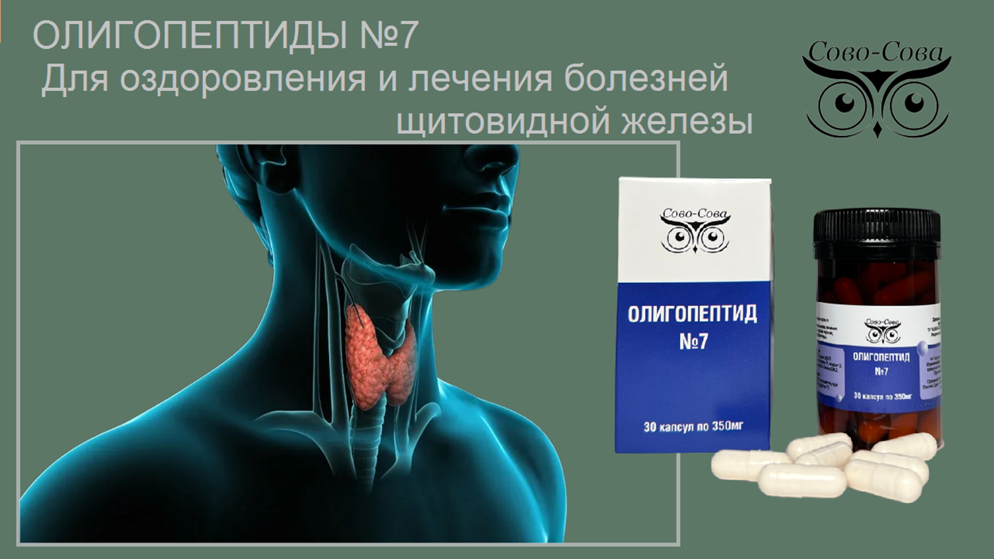 Олигопептид № 7  Для оздоровления и лечения болезней щитовидной железы