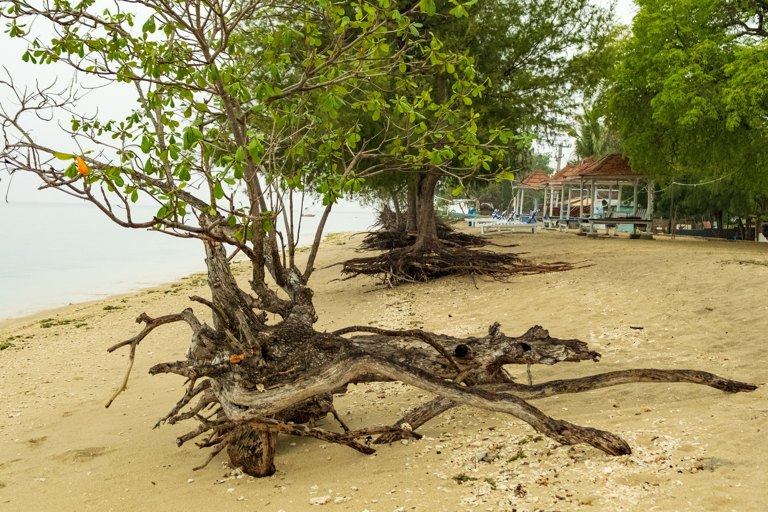 Остров Гили Эйр. Фотографии из путешествий