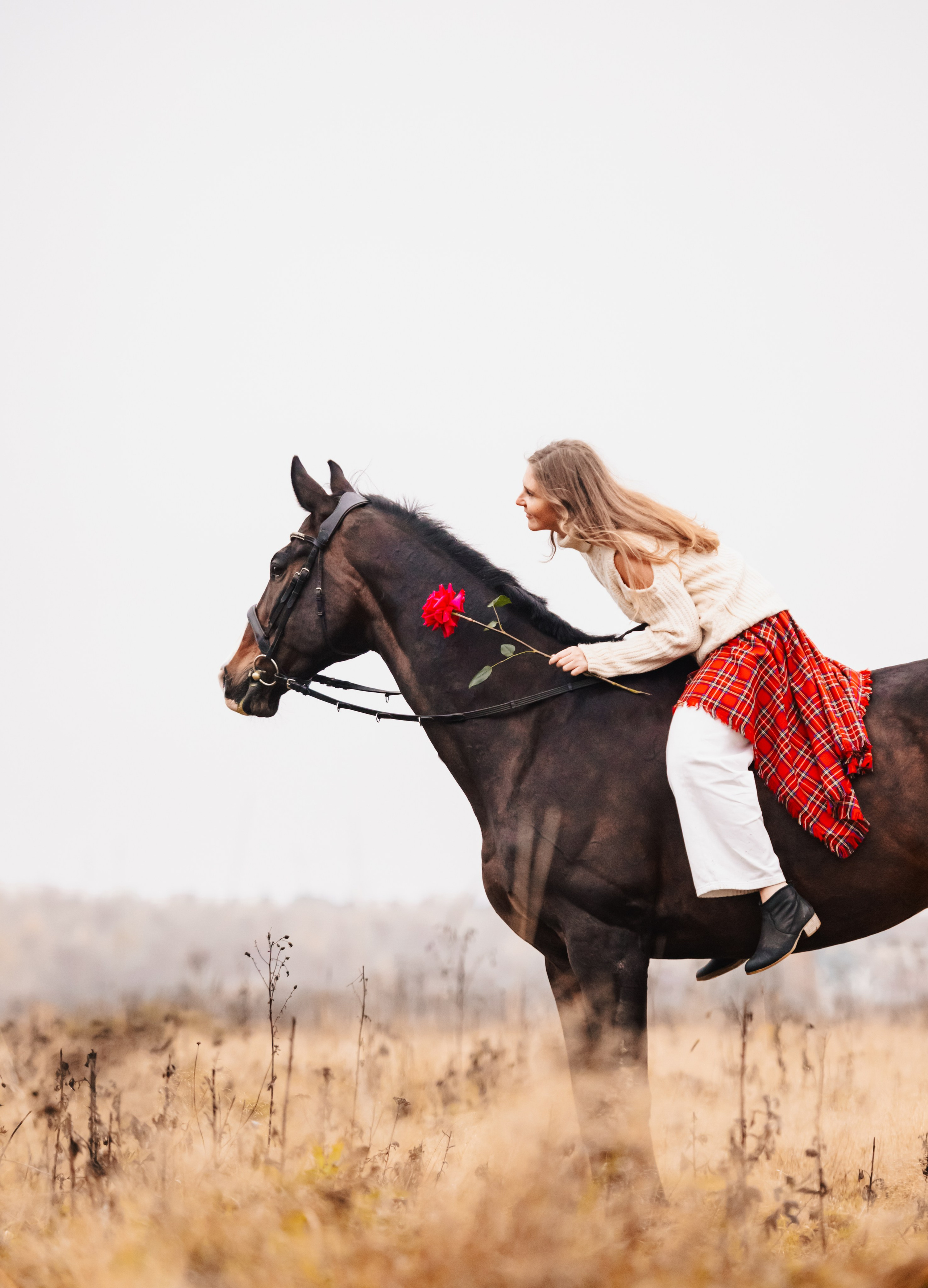 Фотосессии с лошадьми. Марина Егорикова | Конный фотограф | Москва