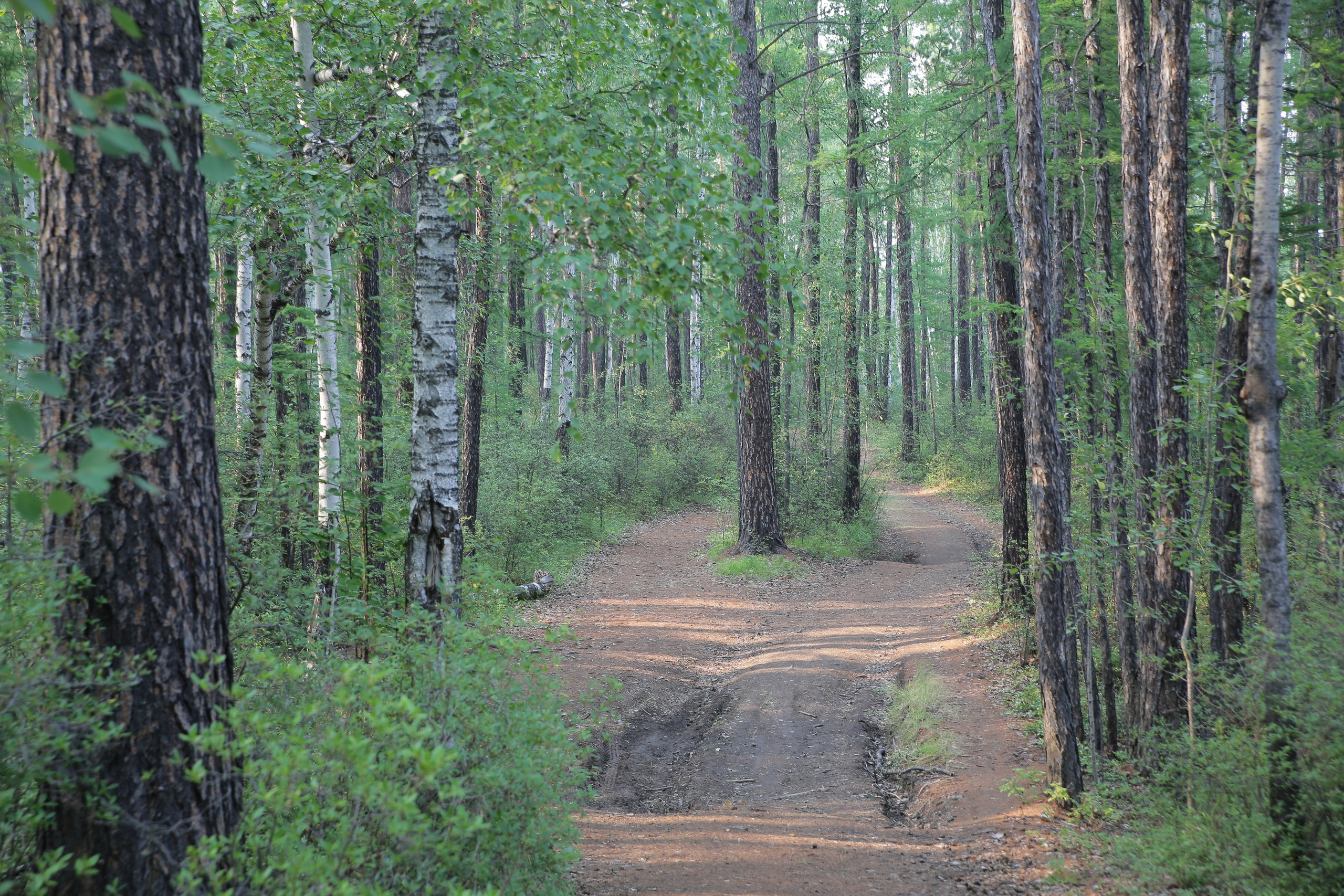 Фото Природы Забайкалья. Студия Максима Белослюдцева