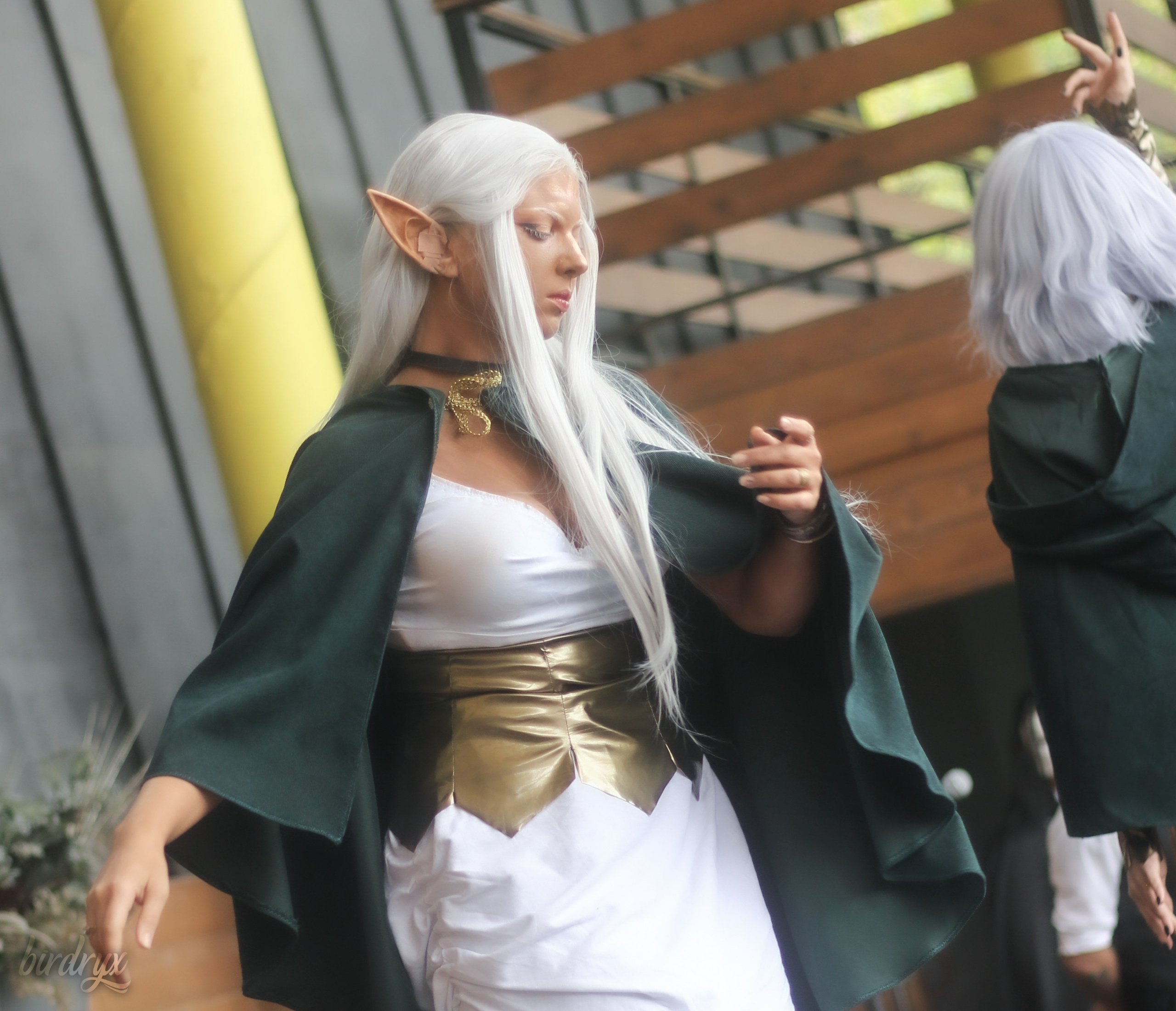 Примеры фотосъёмок (косплей-дефиле). Косплей-фотограф Birdryx