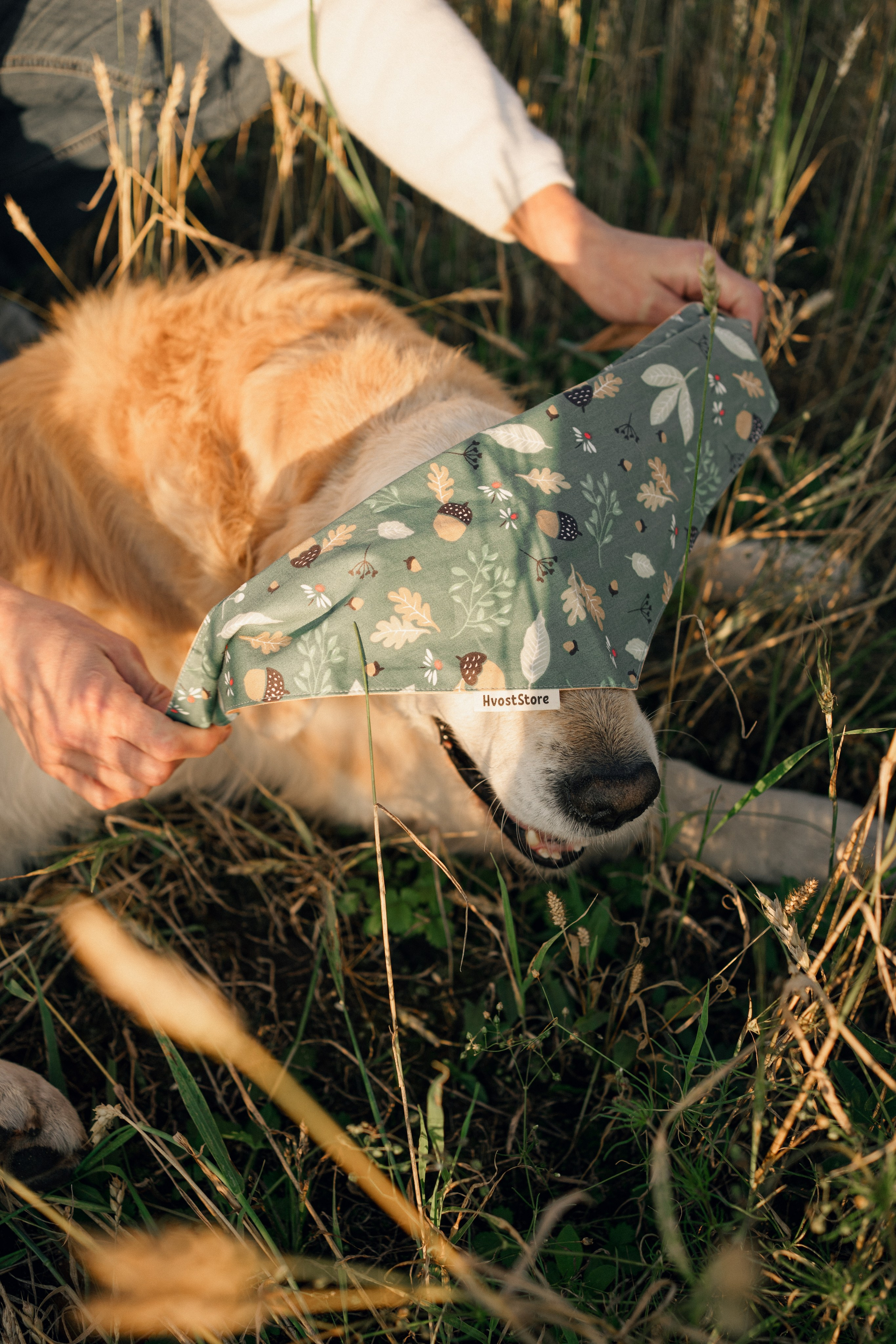 Дарья, Люба и Ред. Фотограф-анималист Анастасия Большакова