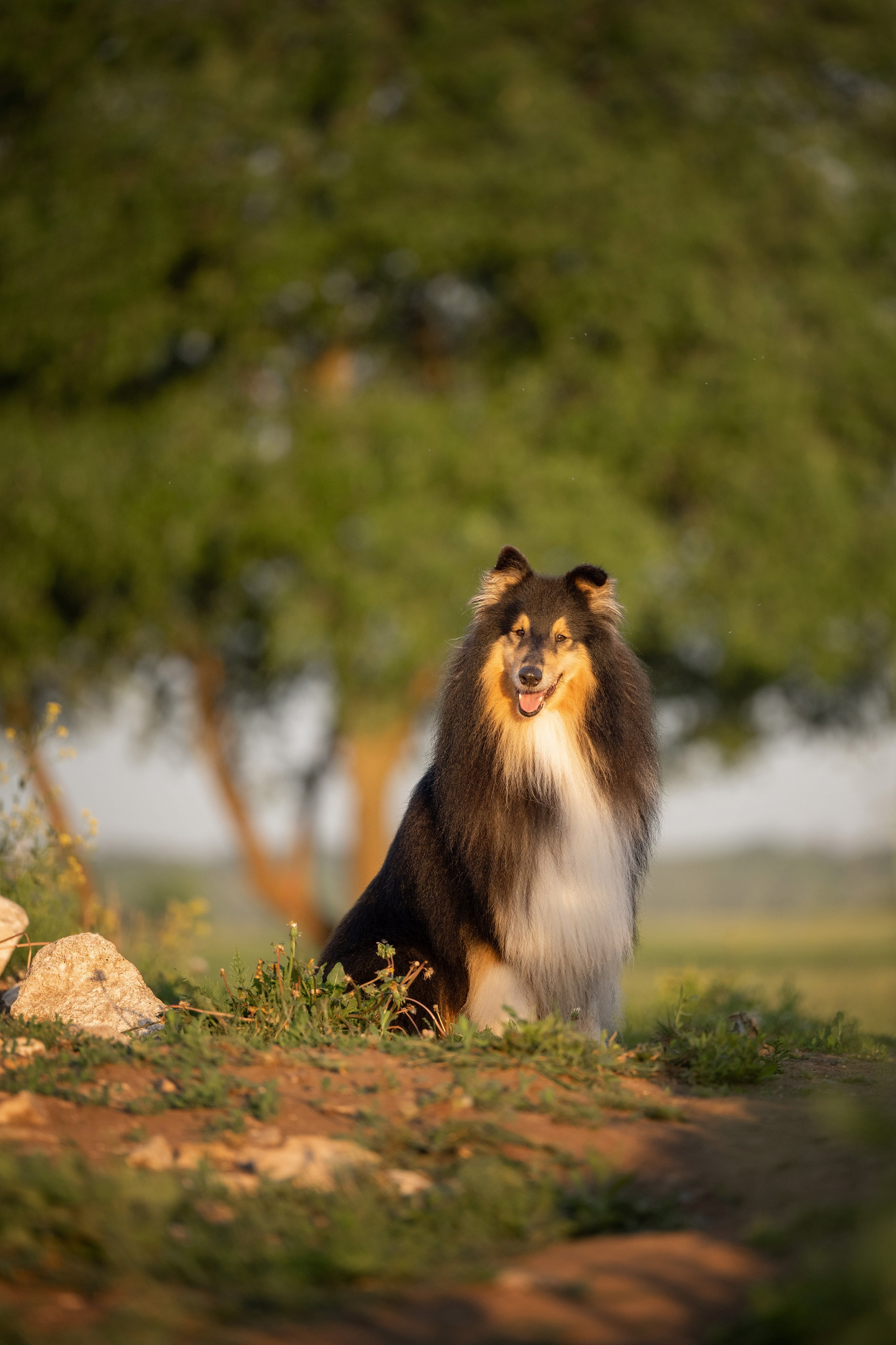Рыбацкая деревня и Маяк 6 июня 2024. -