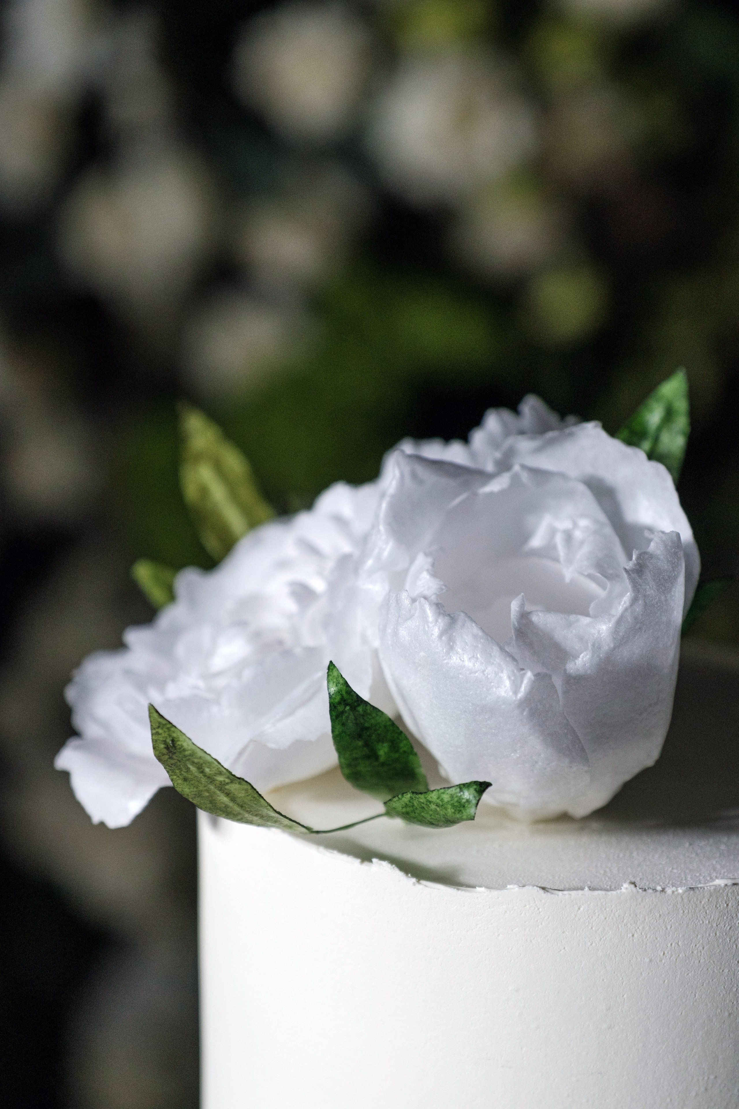 Виктория / Евгений. Свадебный Видеограф Фотограф в Сочи