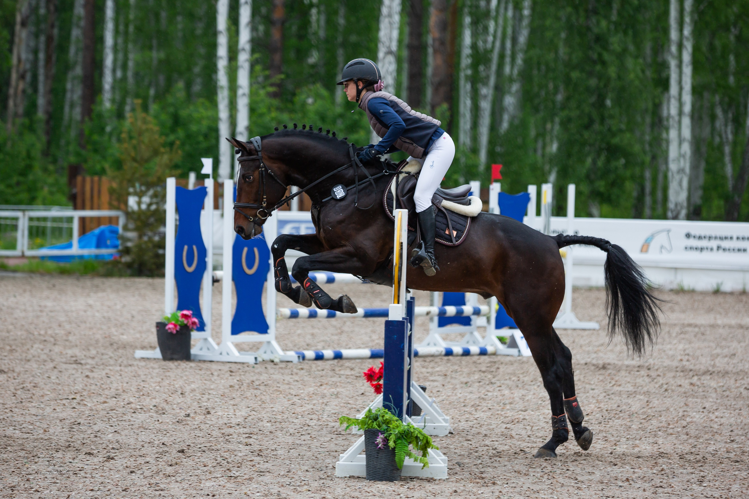 турнирный конный фотограф Екатеринбург, фото с соревнований КСК Дубрава, конный фотограф Екатеринбург, конкур, соревнования по конному спорту, Фотограф анималист Екатеринбург