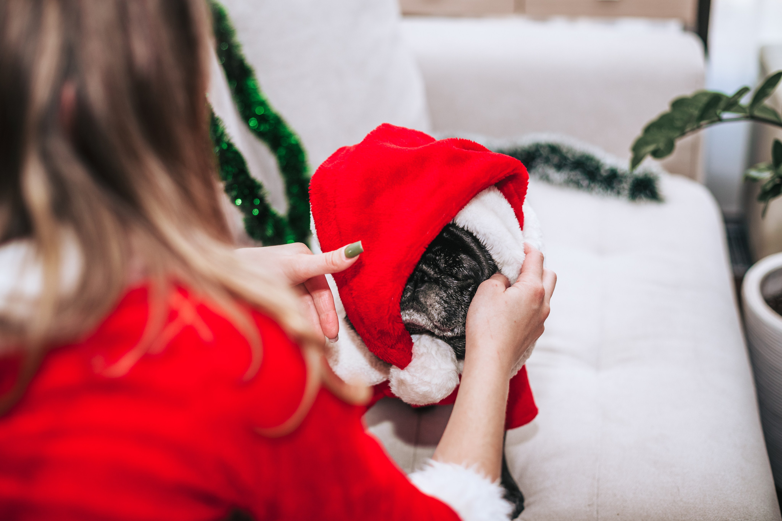 Домашняя фотосессия Оли и двух ее мопсов. Фотограф-анималист Татьяна Степанова