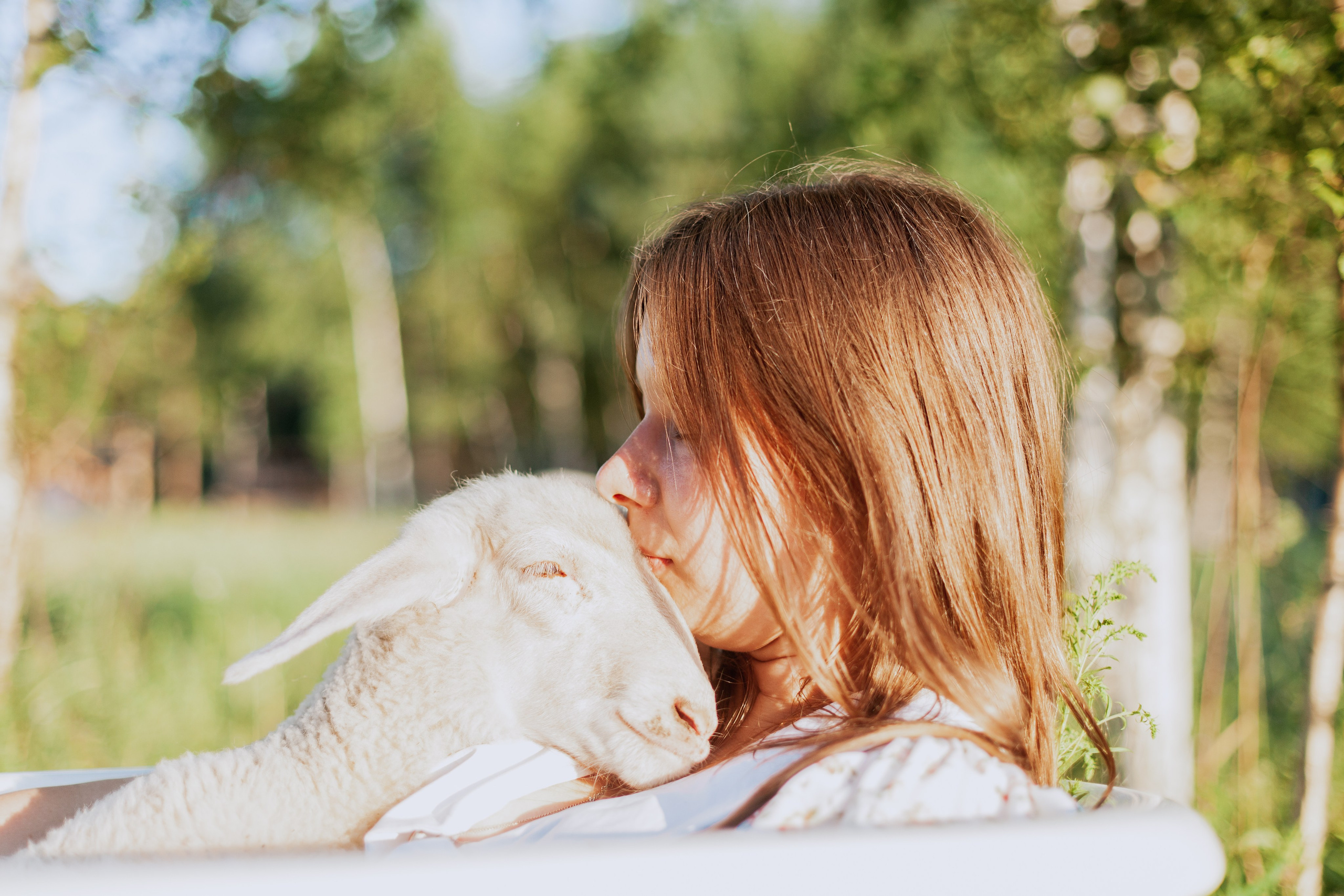 Ванна в поле. Фотограф-анималист Татьяна Степанова