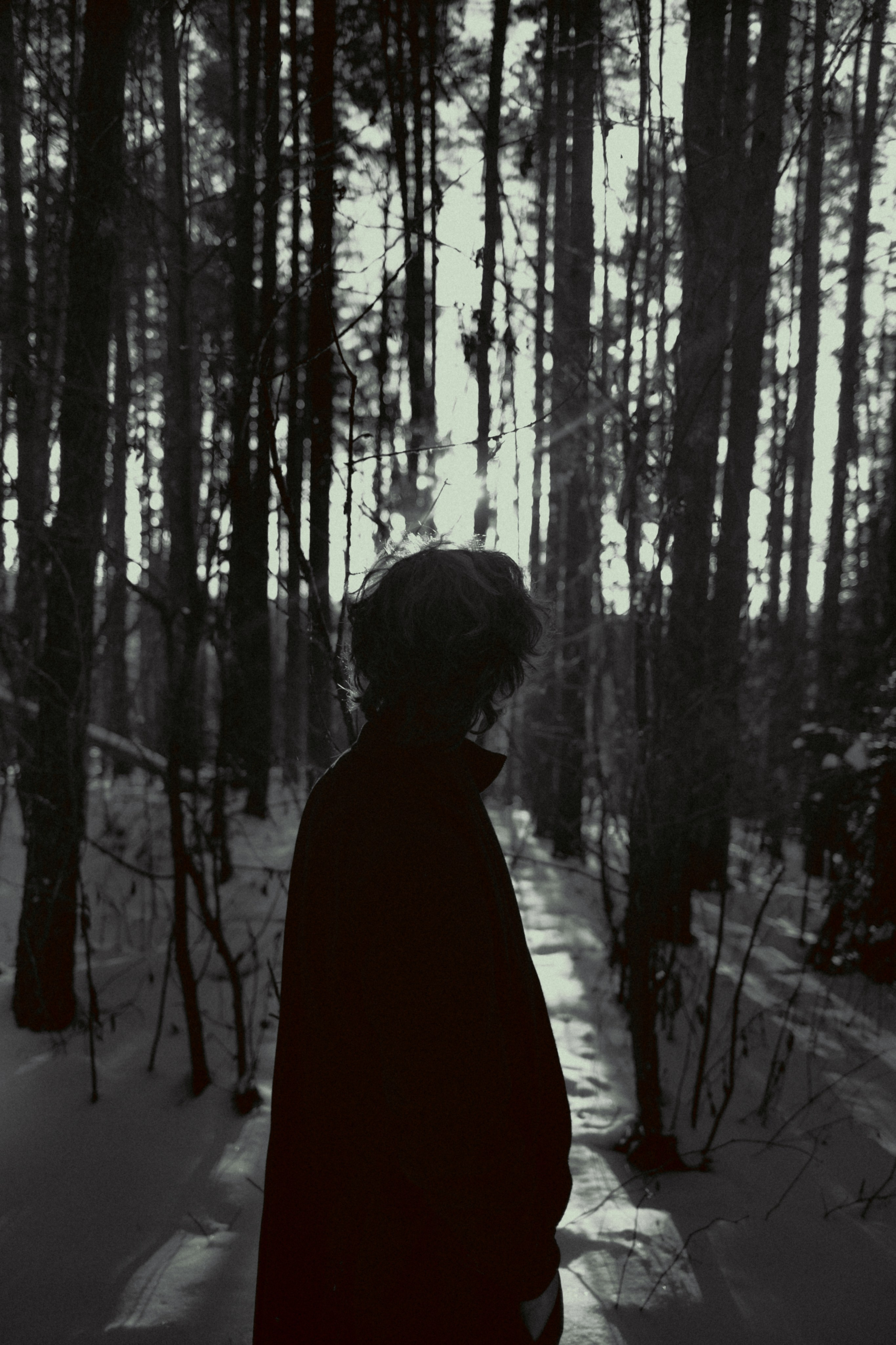 Yan. MAX TIHANKOV