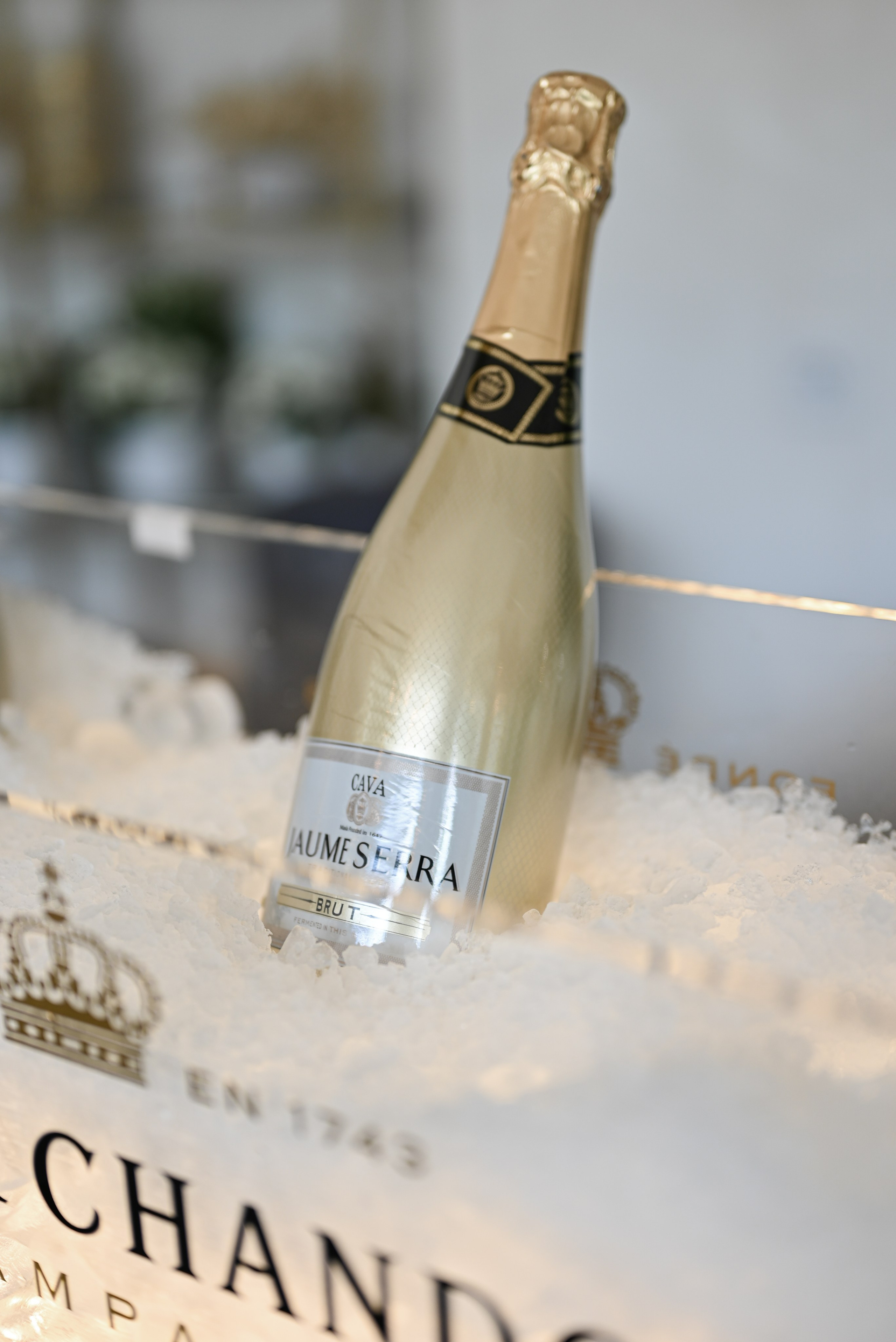 This is love. Свадебный и семейный фотограф в Уфе Александров Максим