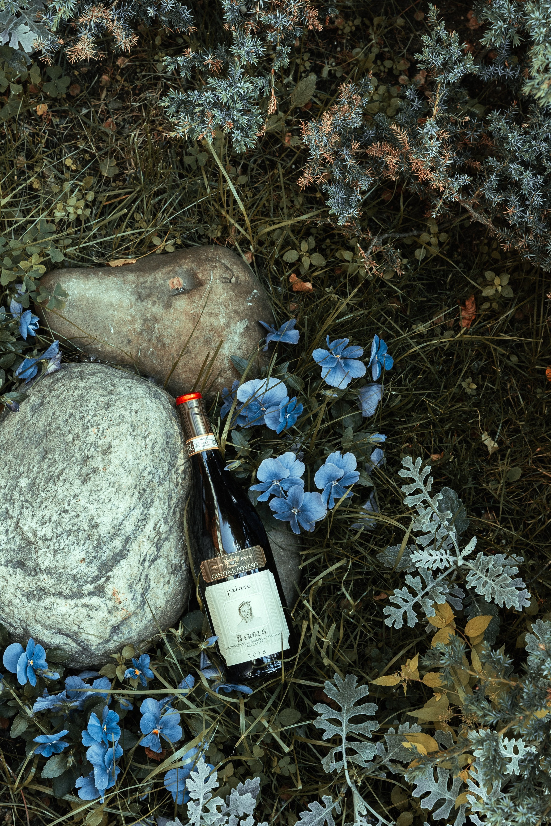 РЕСТОРАНЫ. Контент фотограф в Москве Ник Фрост