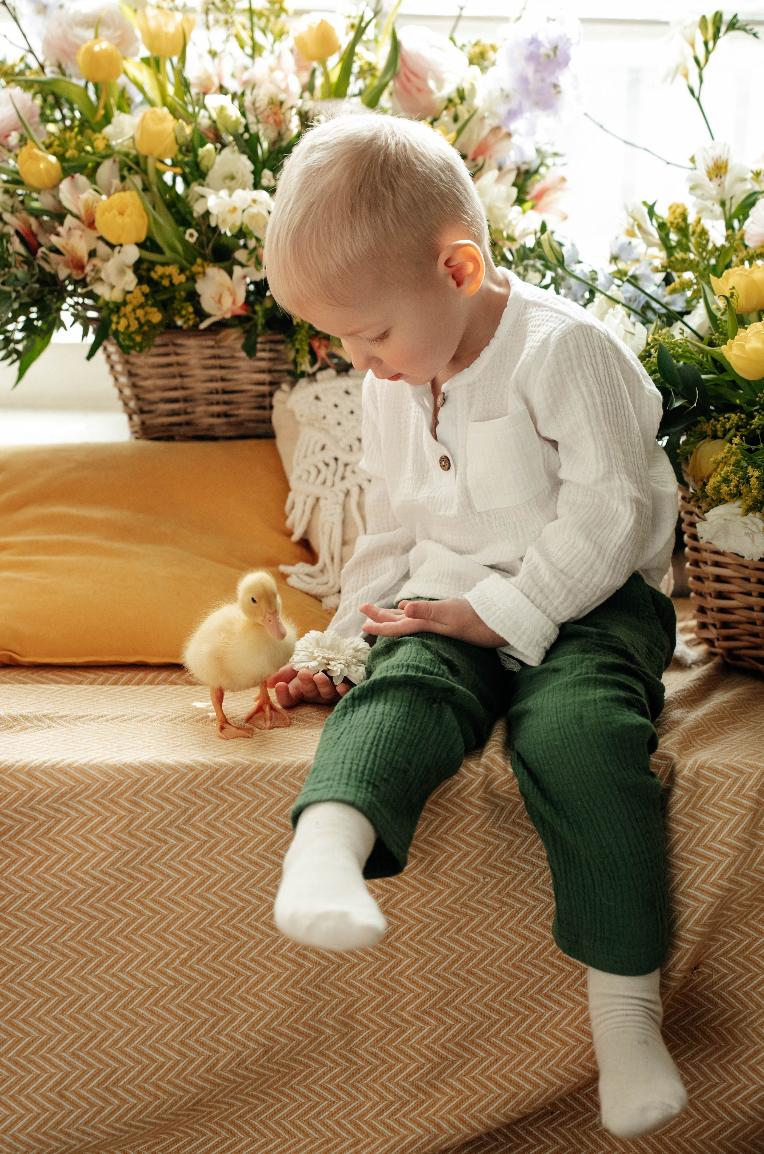 Утята). Свадебный фотограф Москва Александра Аверкова