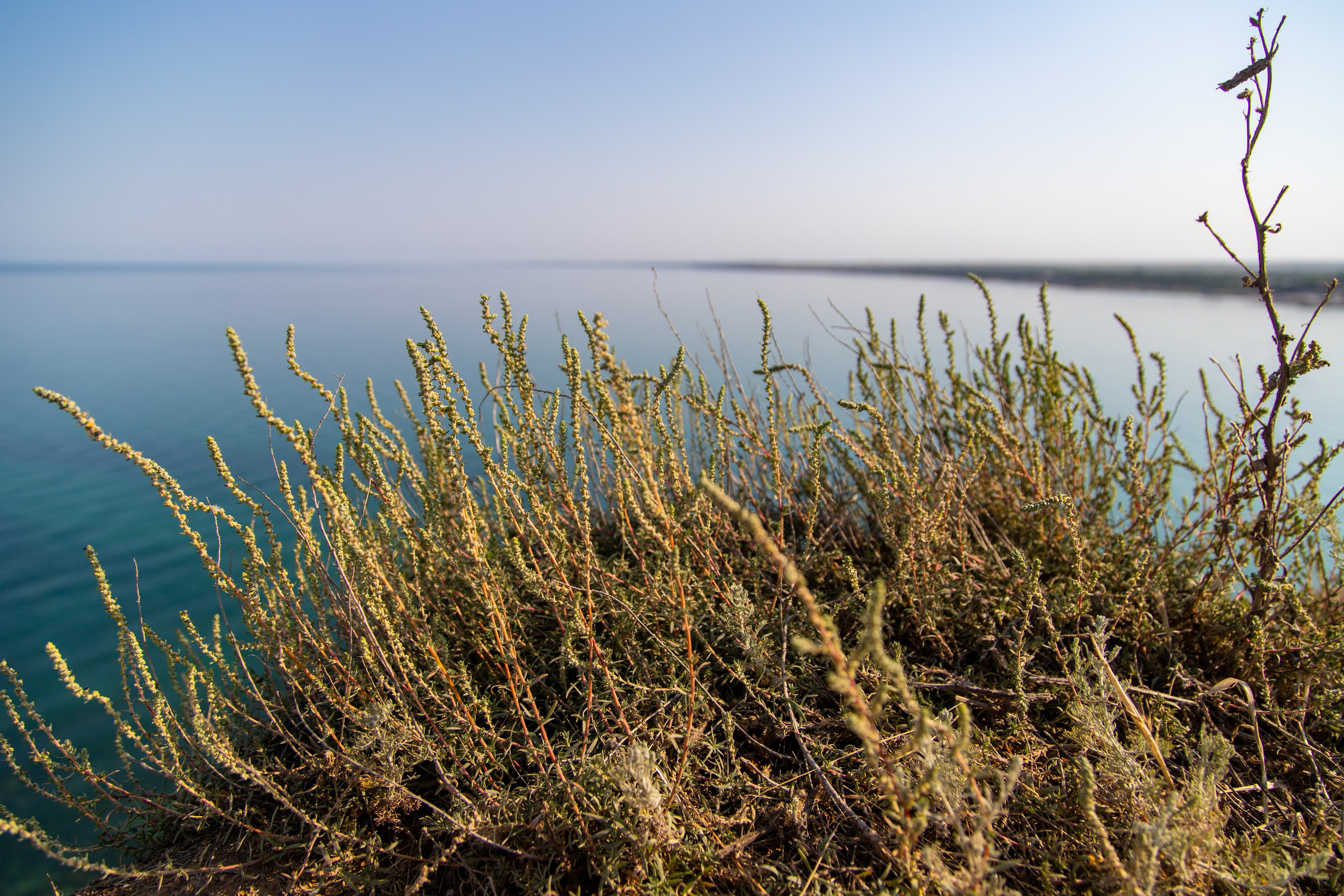 Фотографии природы Крыма из 2021 года. Море, холмы, закаты. Фотограф видеограф широкого профиля Денис Захаров