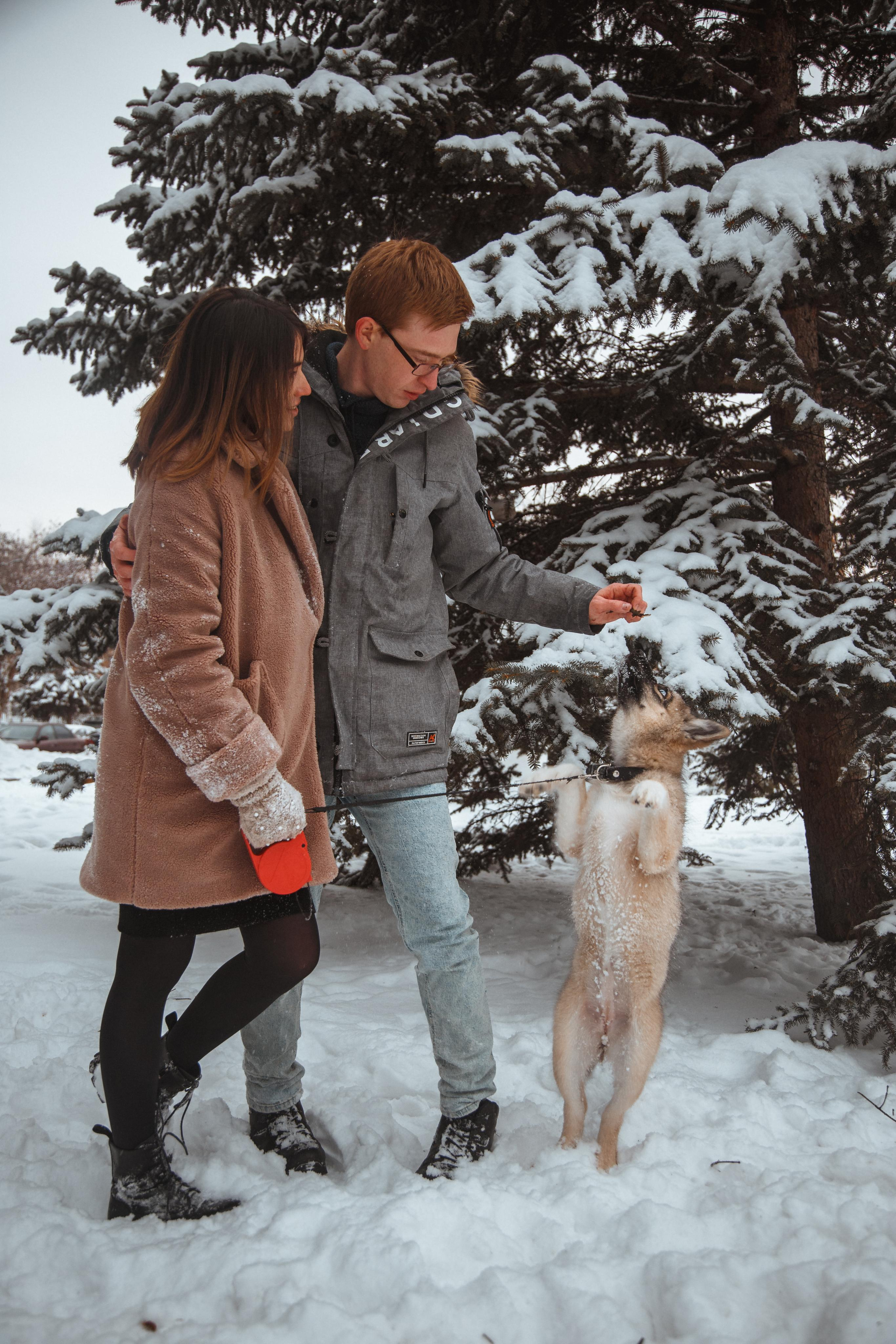 Love story «Winter walk». Свадебные фотограф и видеограф Наталья и Анатолий Новиковы СПб