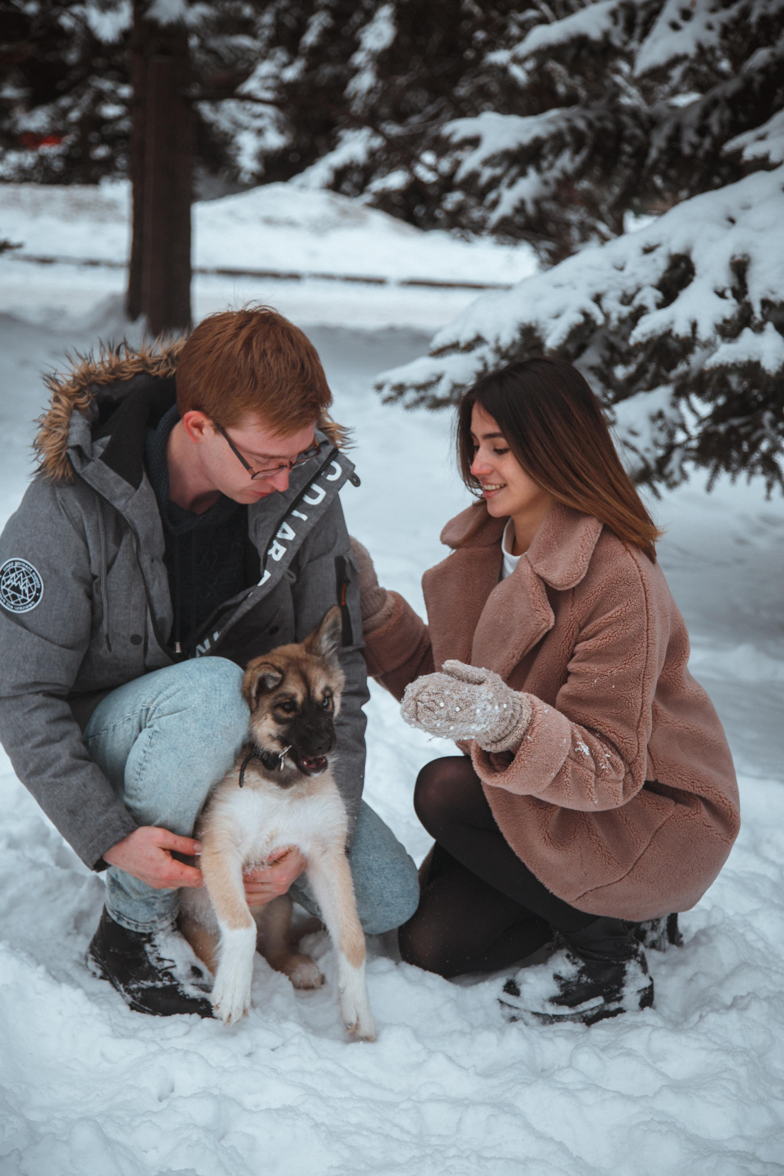 Love story «Winter walk». Свадебные фотограф и видеограф Наталья и Анатолий Новиковы СПб