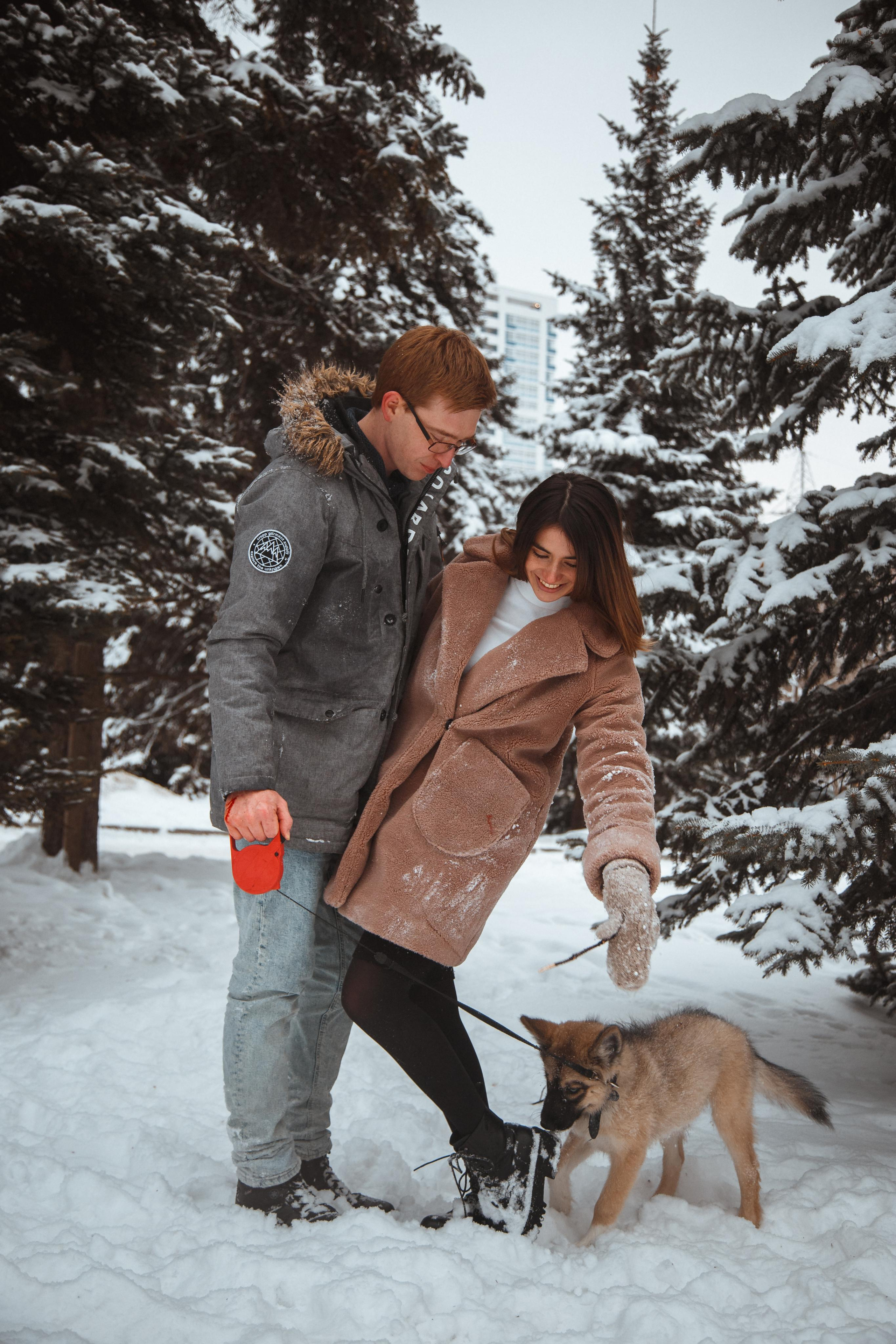 Love story «Winter walk». Свадебные фотограф и видеограф Наталья и Анатолий Новиковы СПб