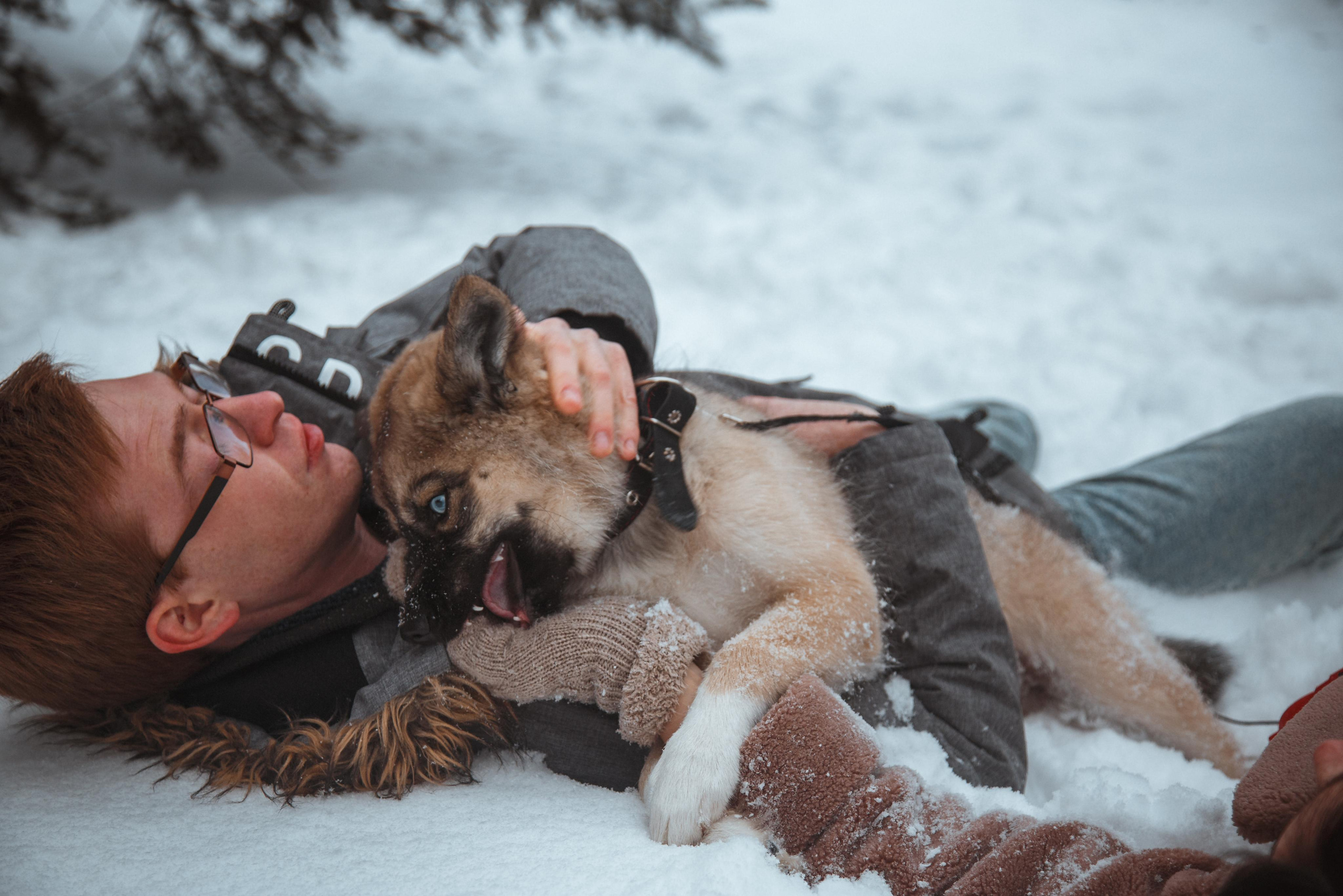 Love story «Winter walk». Свадебные фотограф и видеограф Наталья и Анатолий Новиковы СПб
