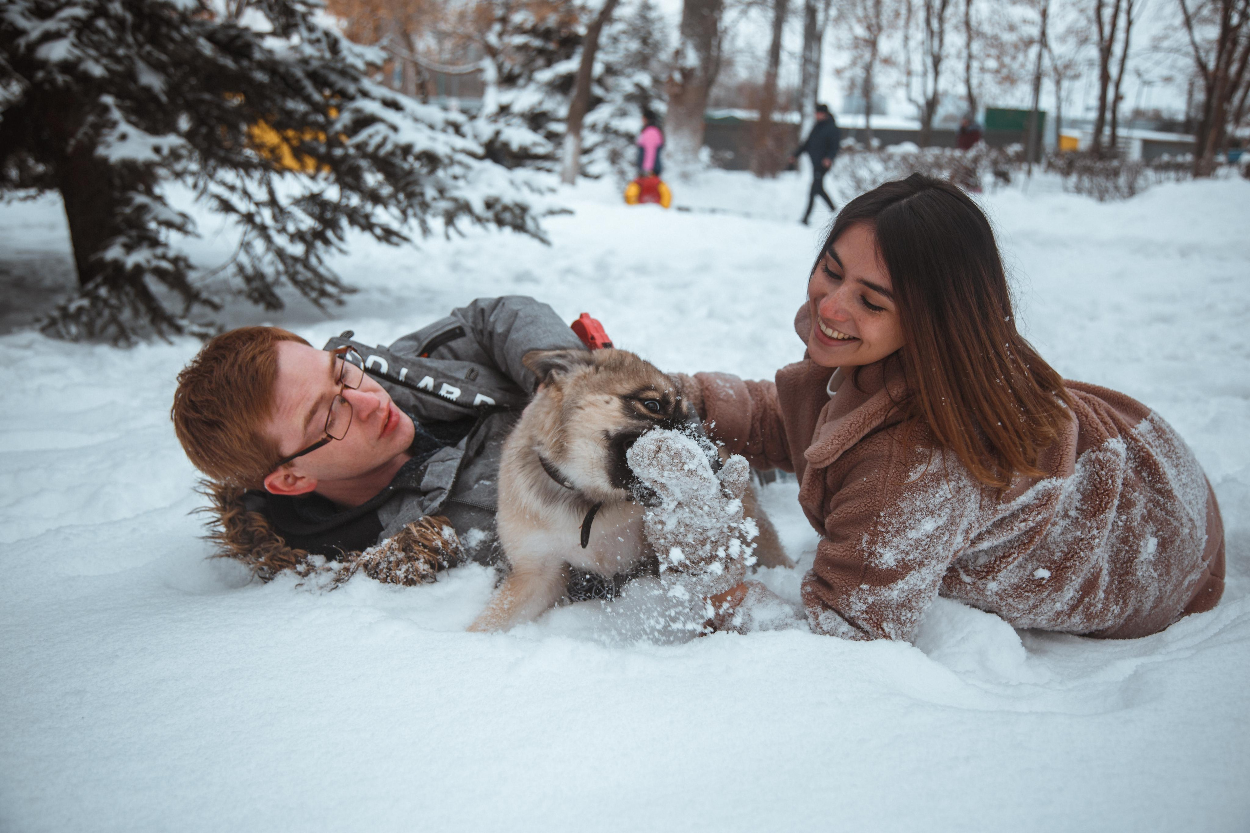 Love story «Winter walk». Свадебные фотограф и видеограф Наталья и Анатолий Новиковы СПб