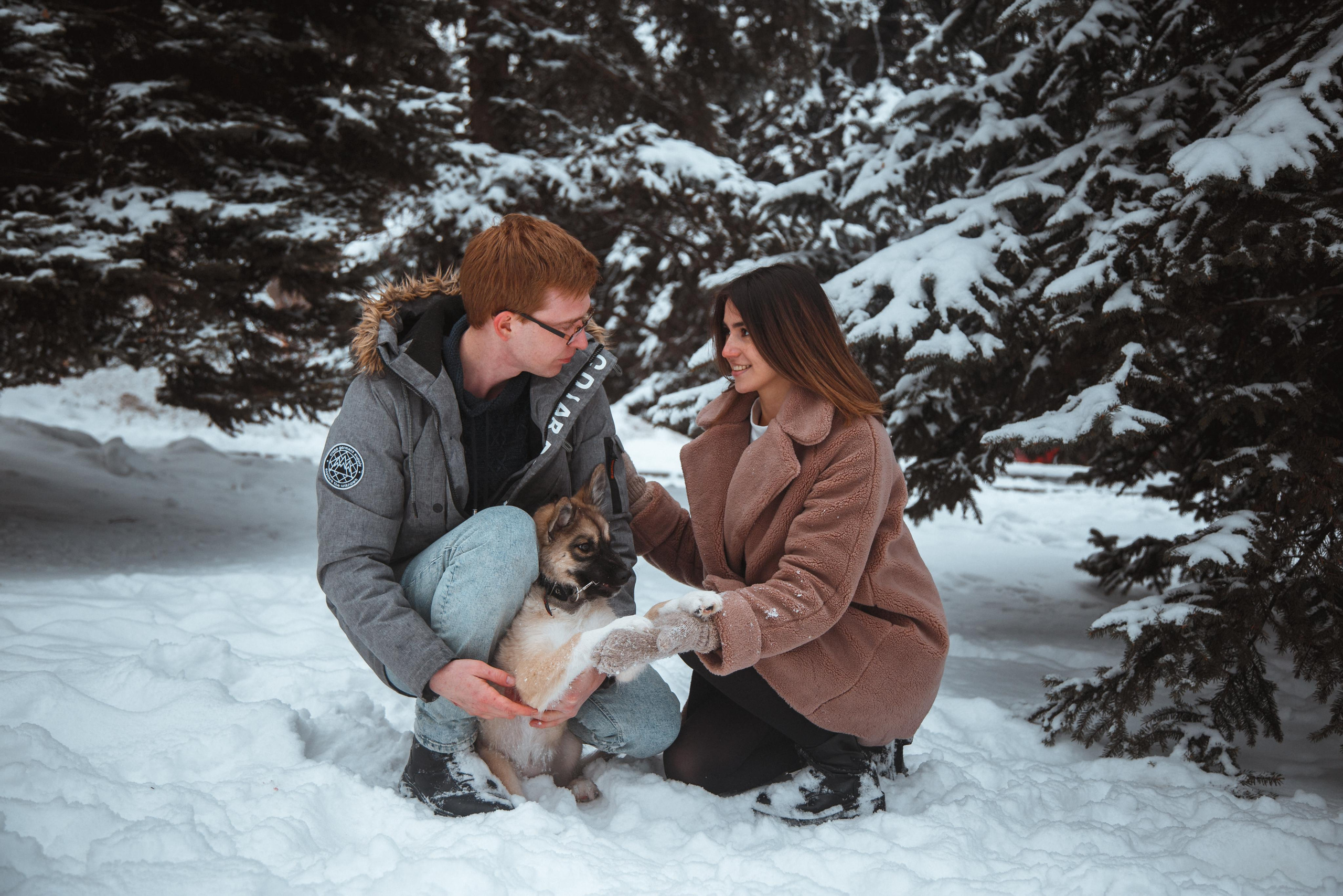 Love story «Winter walk». Свадебные фотограф и видеограф Наталья и Анатолий Новиковы СПб