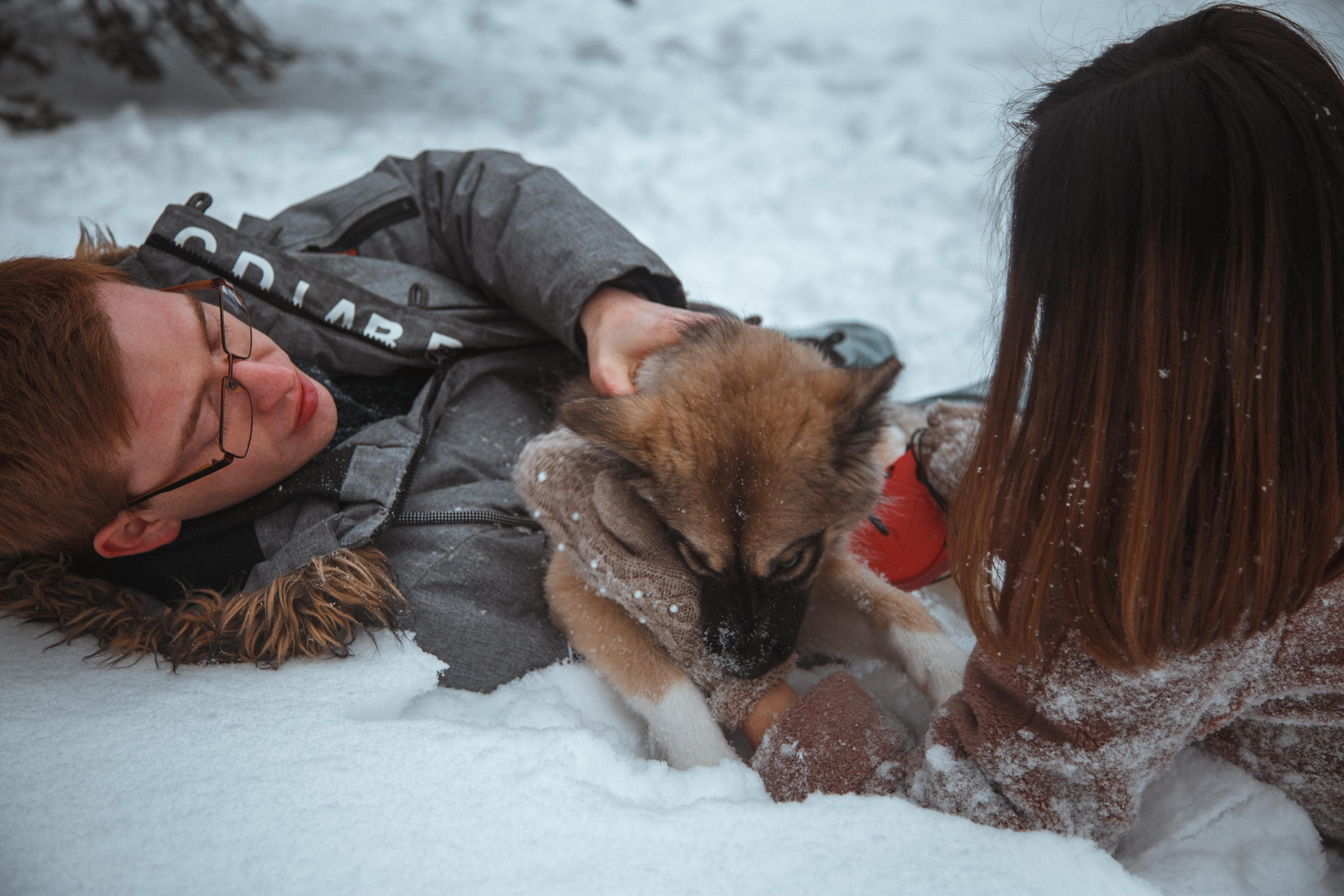 Love story «Winter walk». Свадебные фотограф и видеограф Наталья и Анатолий Новиковы СПб