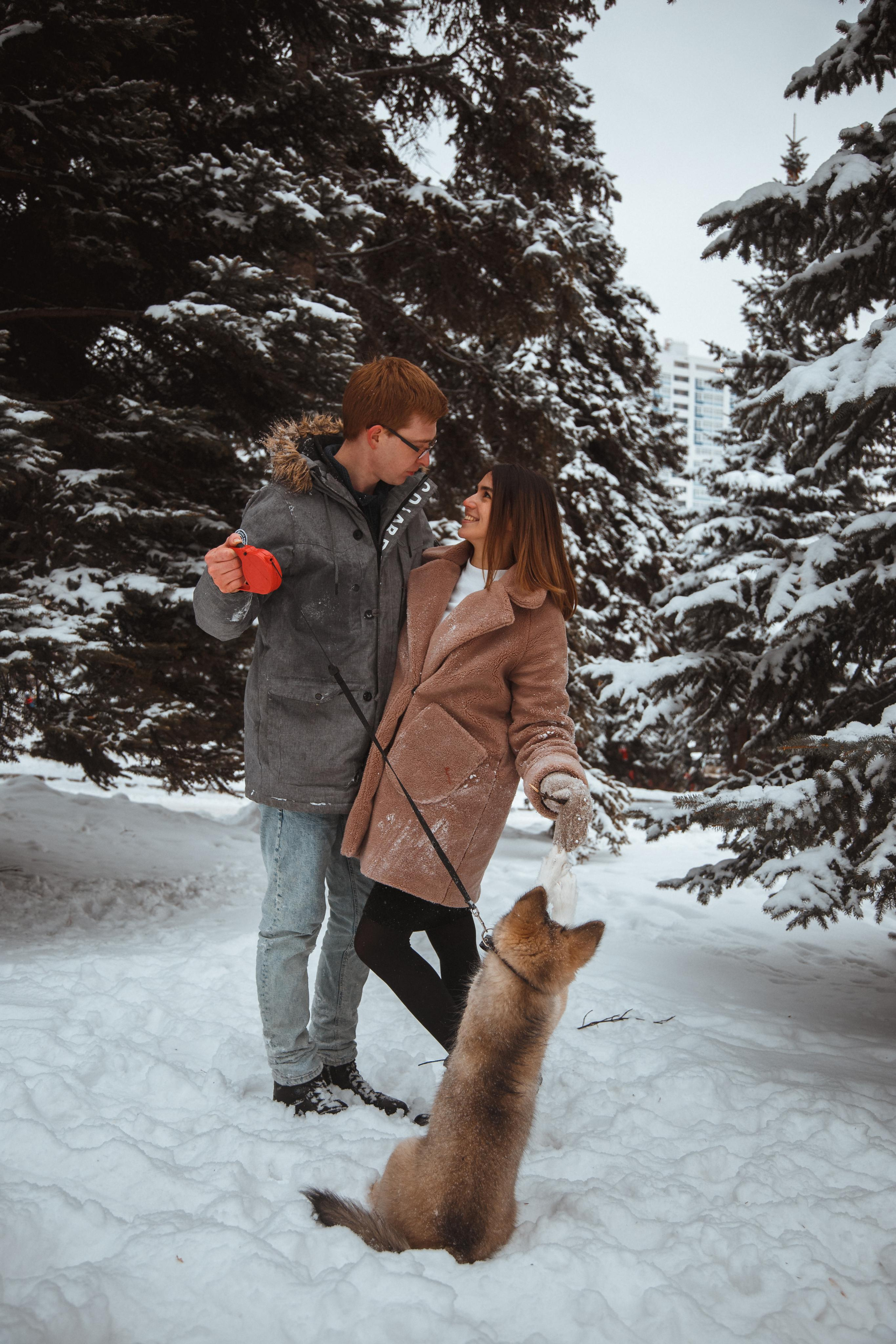 Love story «Winter walk». Свадебные фотограф и видеограф Наталья и Анатолий Новиковы СПб