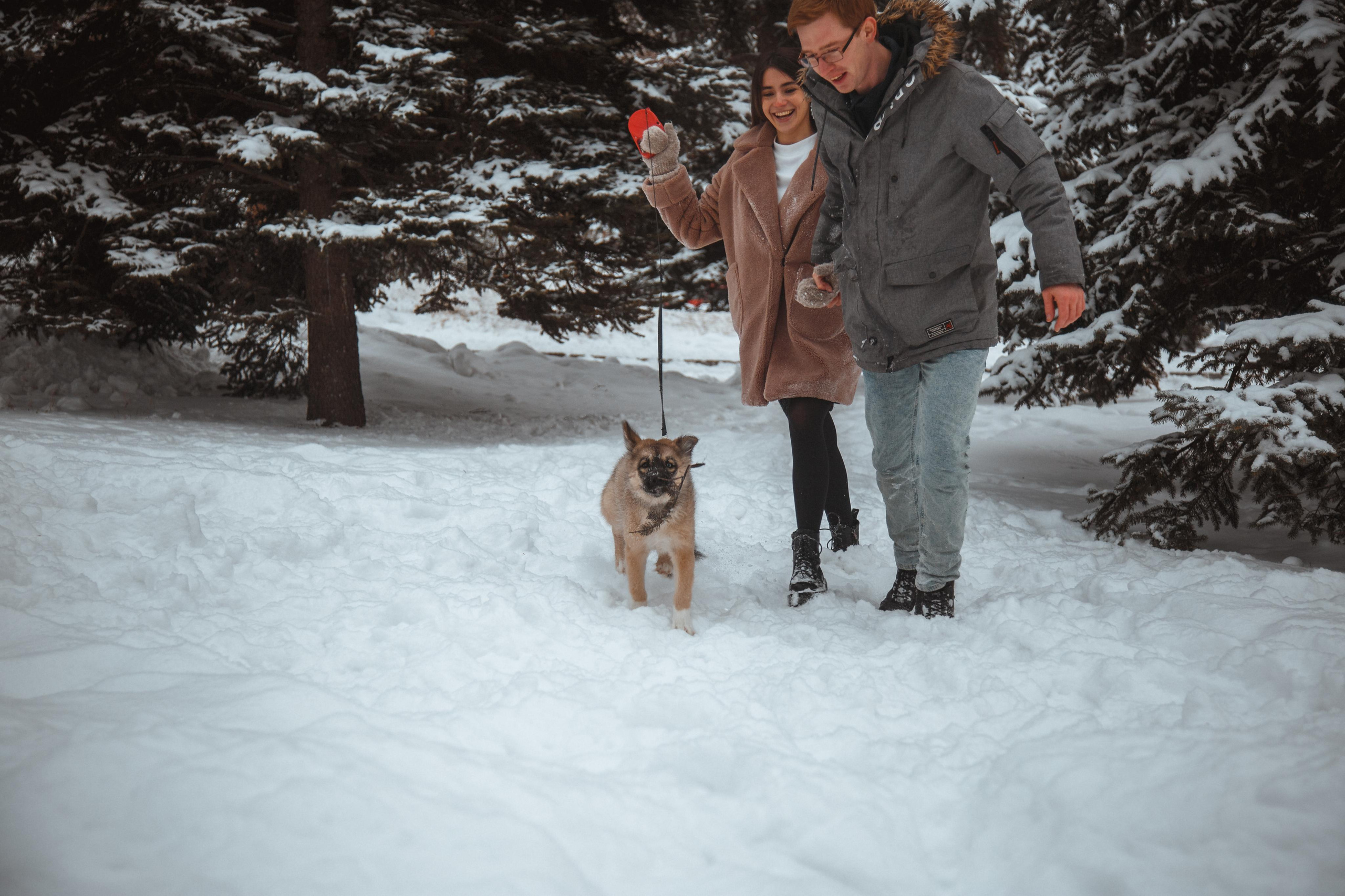 Love story «Winter walk». Свадебные фотограф и видеограф Наталья и Анатолий Новиковы СПб
