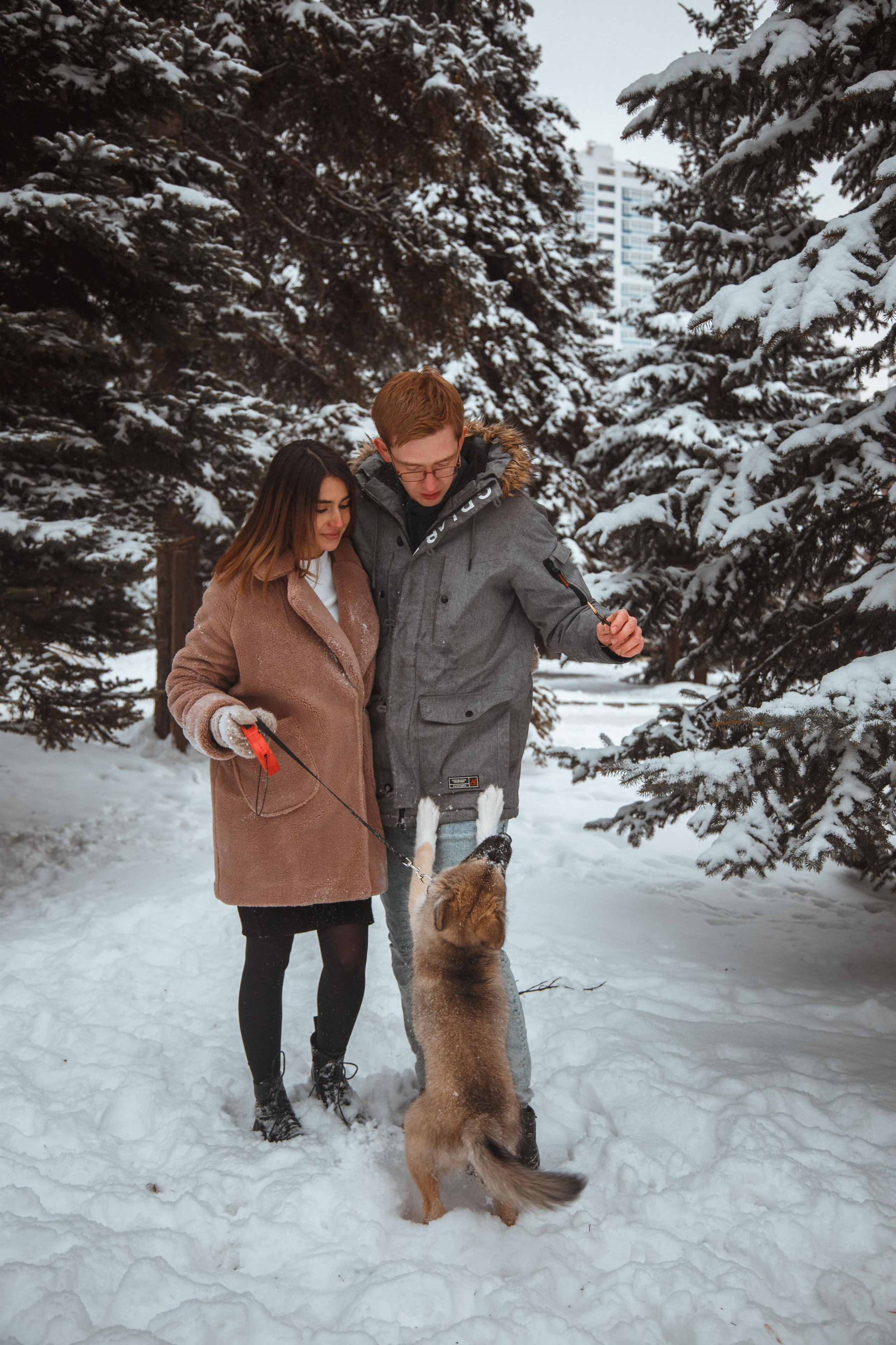 Love story «Winter walk». Свадебные фотограф и видеограф Наталья и Анатолий Новиковы СПб