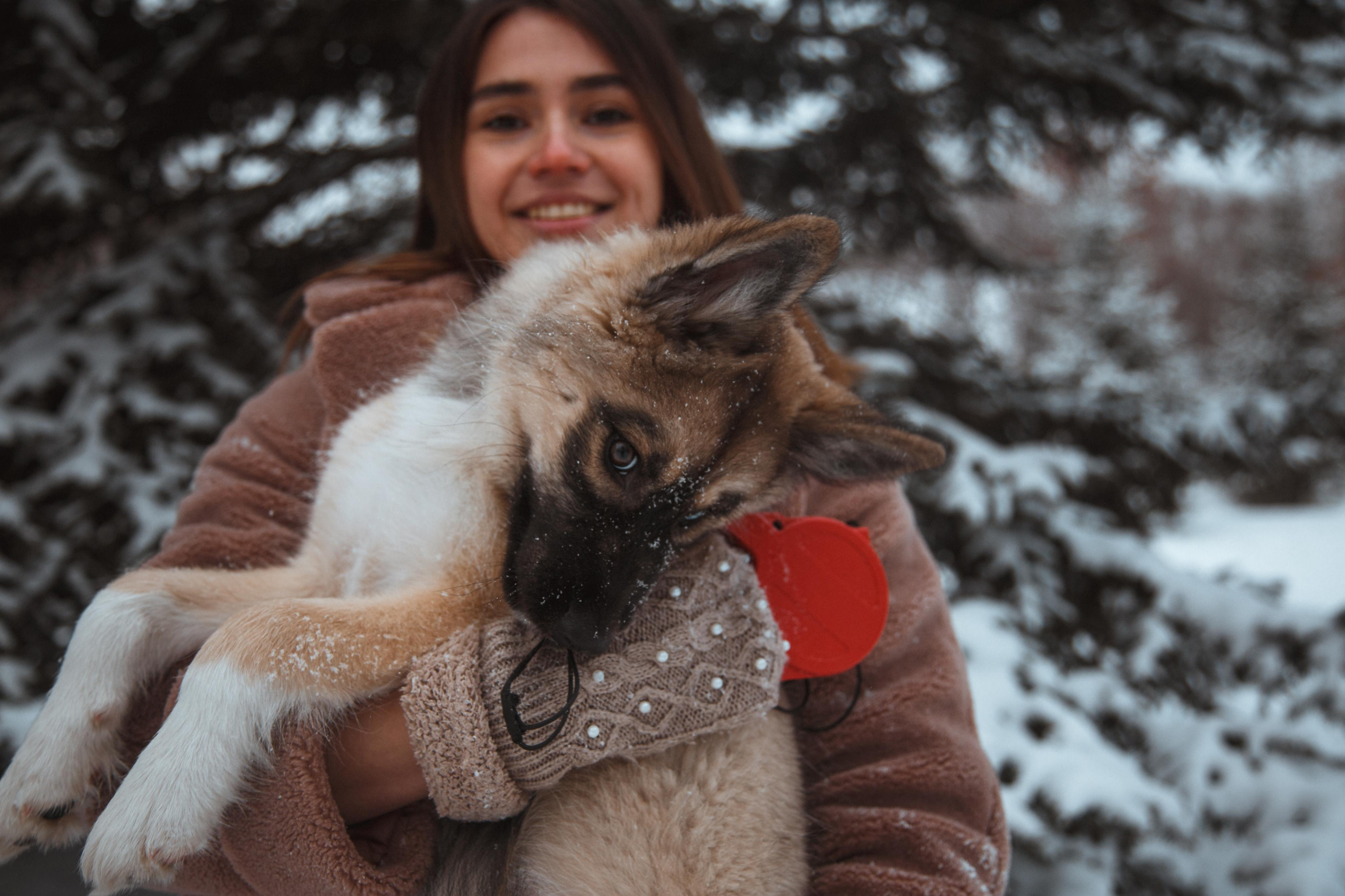 Love story «Winter walk». Свадебные фотограф и видеограф Наталья и Анатолий Новиковы СПб