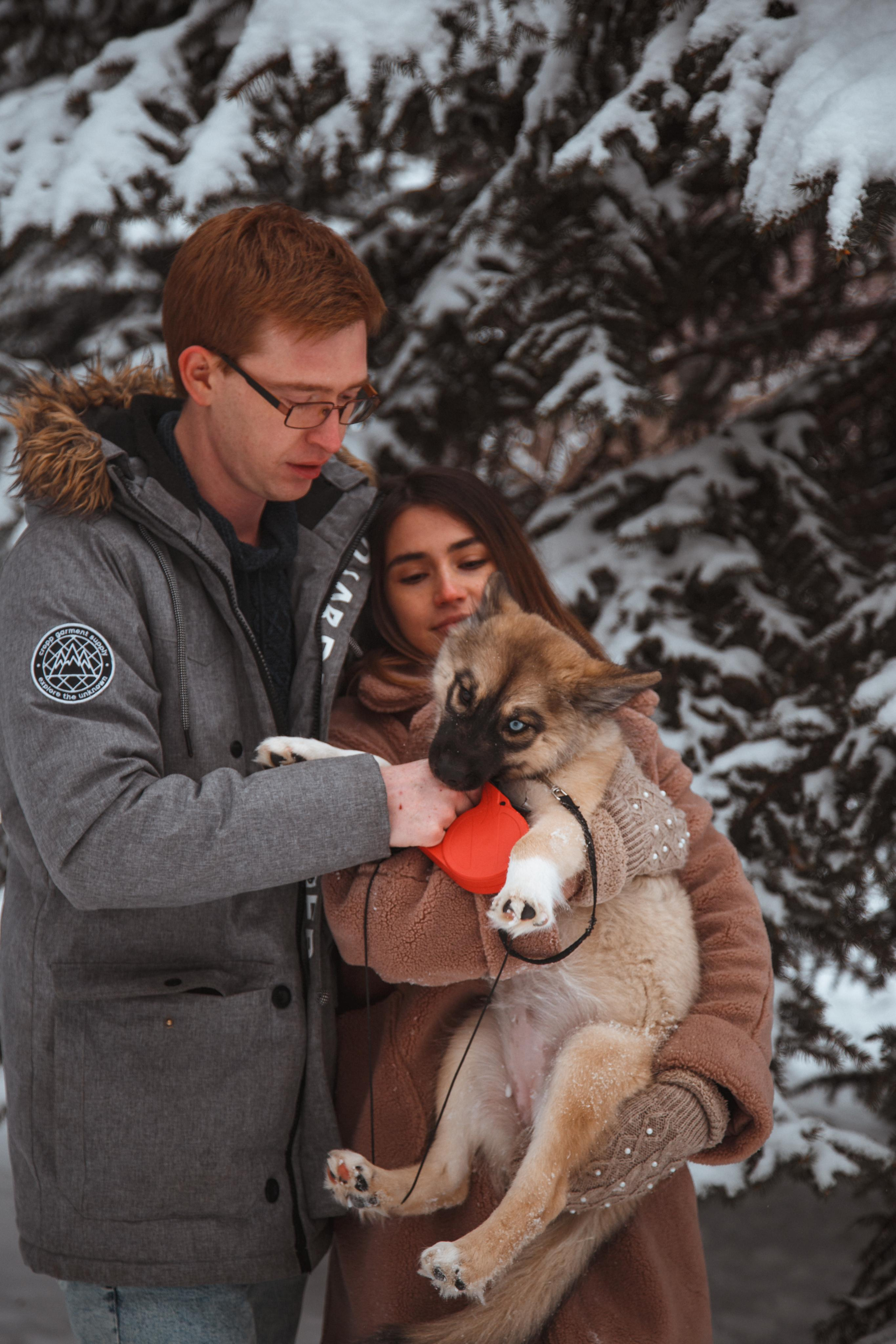 Love story «Winter walk». Свадебные фотограф и видеограф Наталья и Анатолий Новиковы СПб