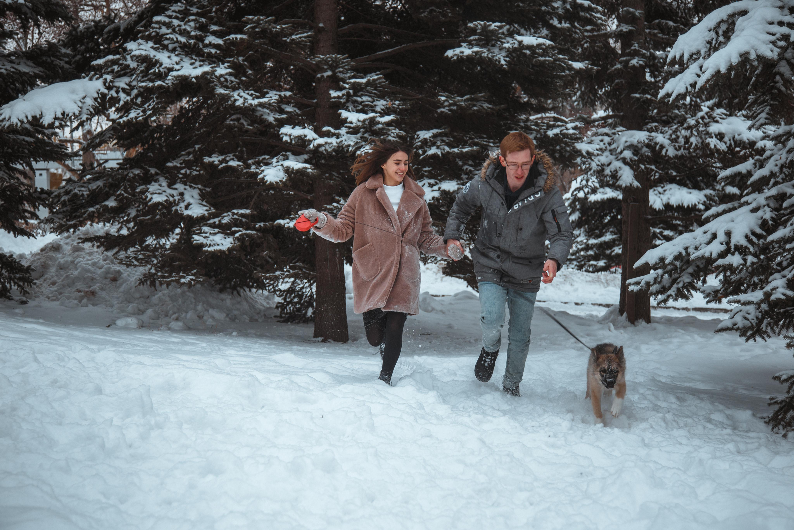 Love story «Winter walk». Свадебные фотограф и видеограф Наталья и Анатолий Новиковы СПб
