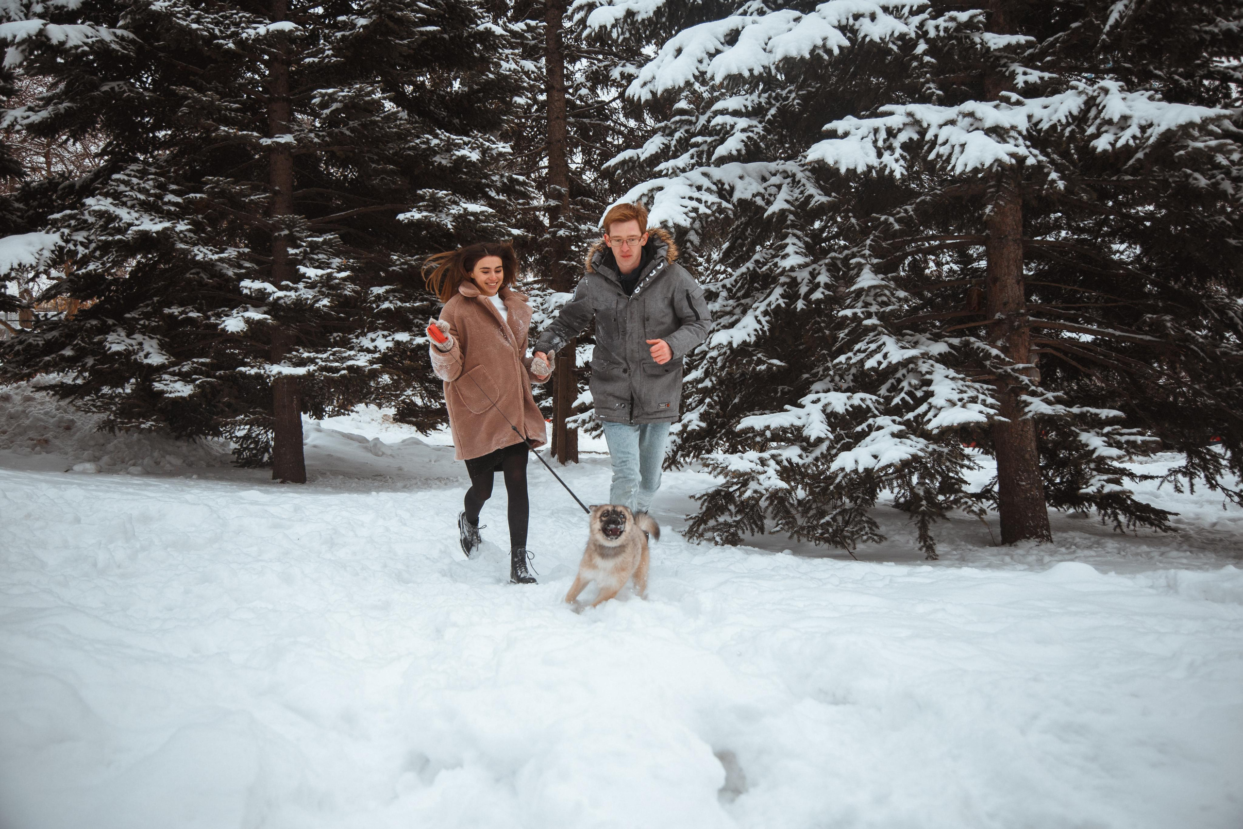 Love story «Winter walk». Свадебные фотограф и видеограф Наталья и Анатолий Новиковы СПб