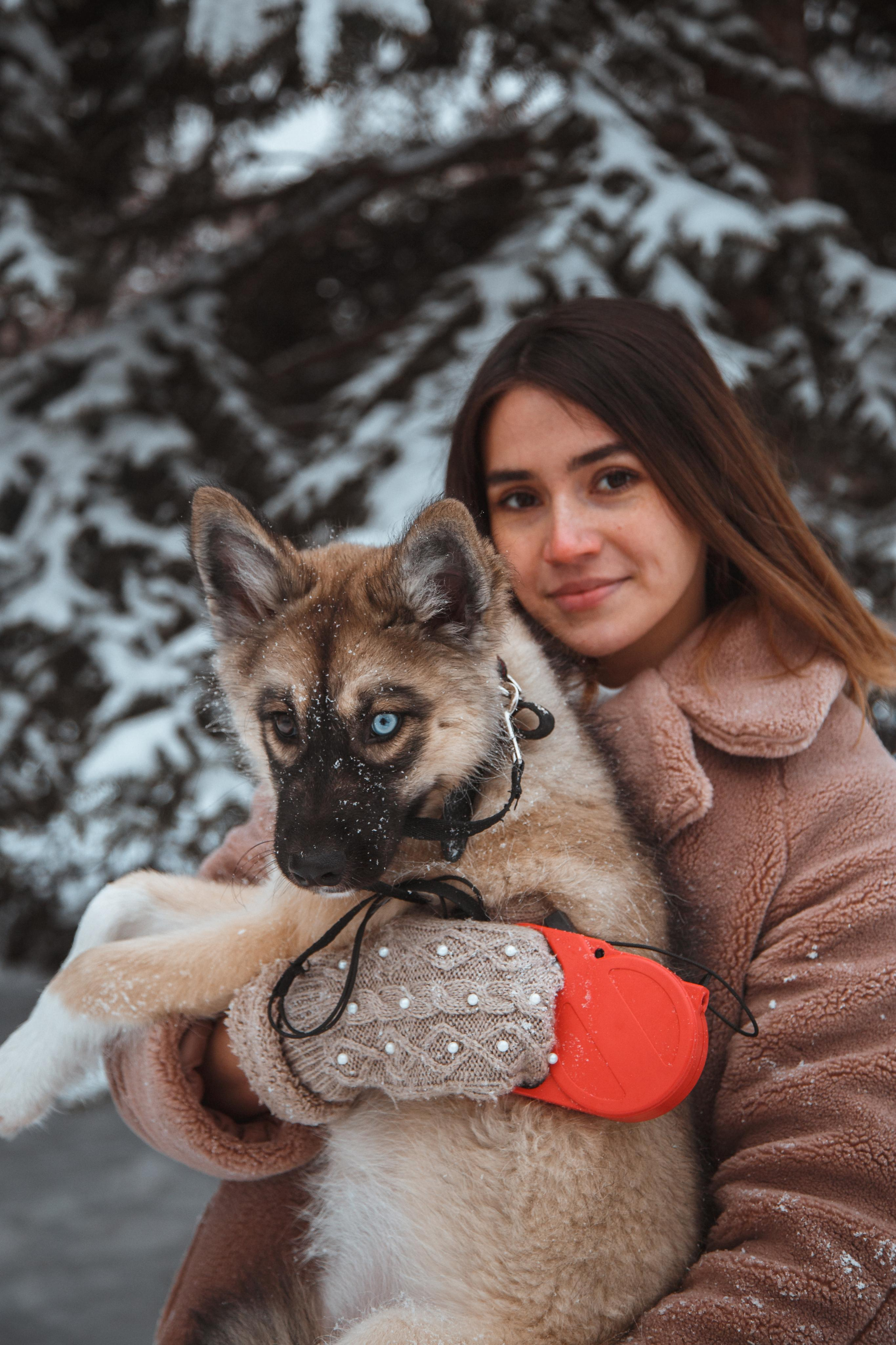 Love story «Winter walk». Свадебные фотограф и видеограф Наталья и Анатолий Новиковы СПб