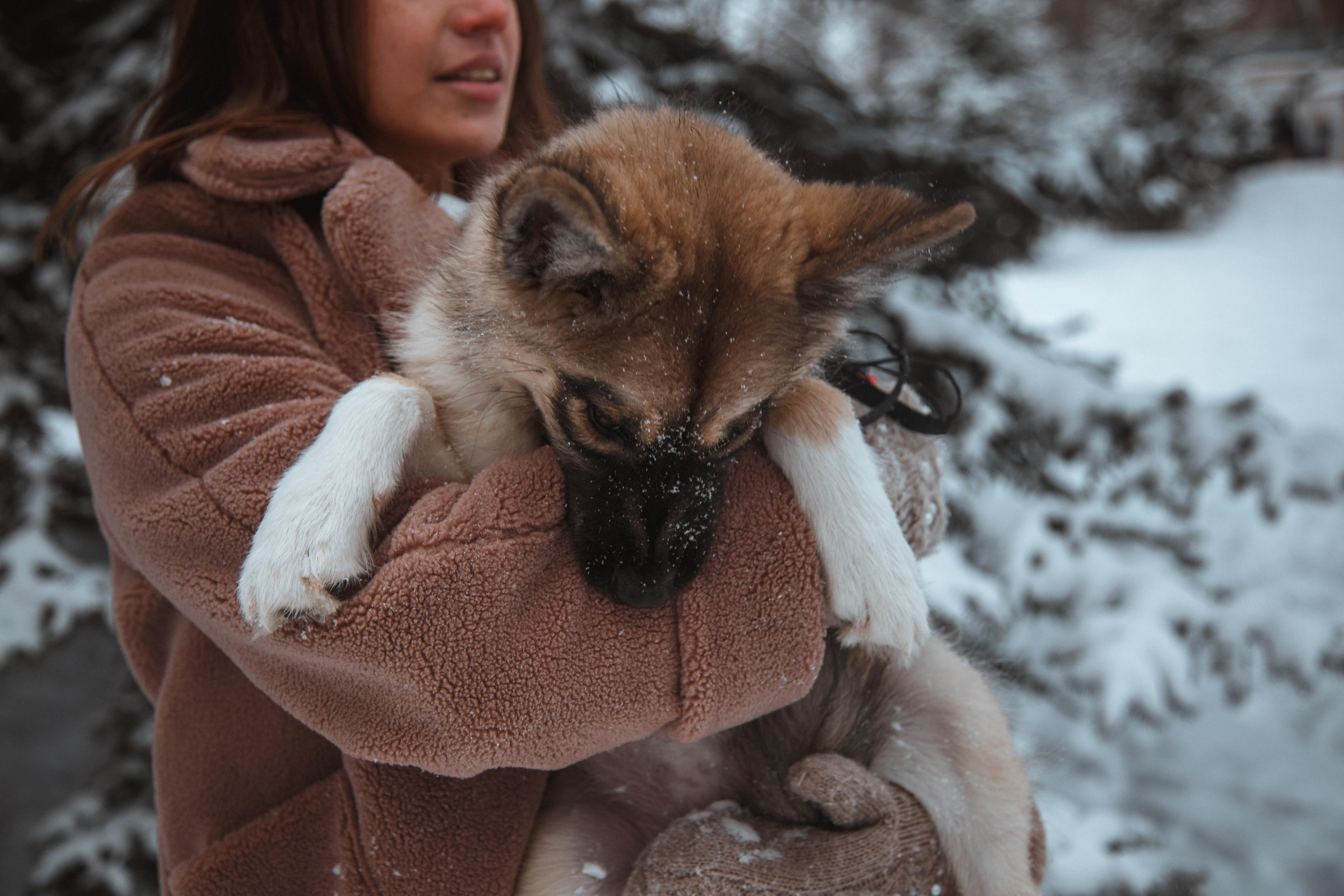 Love story «Winter walk». Свадебные фотограф и видеограф Наталья и Анатолий Новиковы СПб