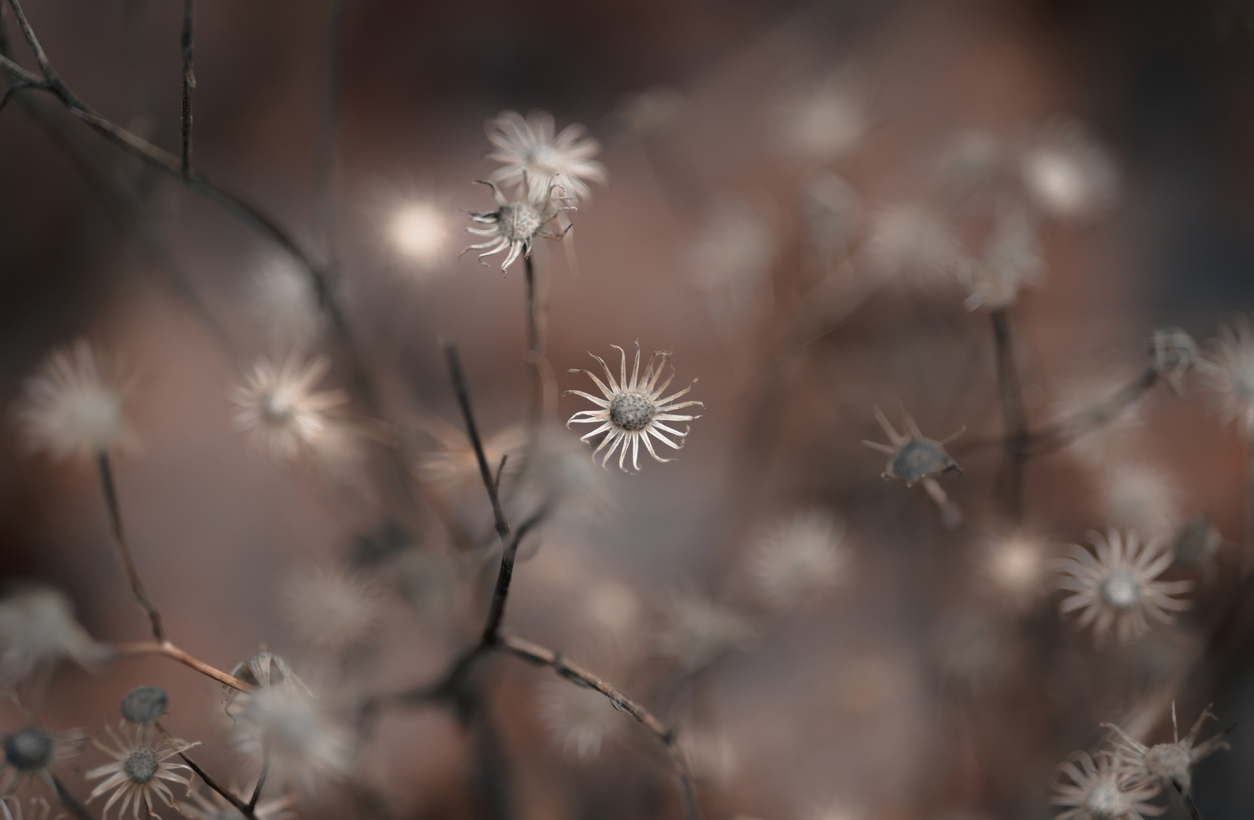 1-й Северный форт Кронштадт