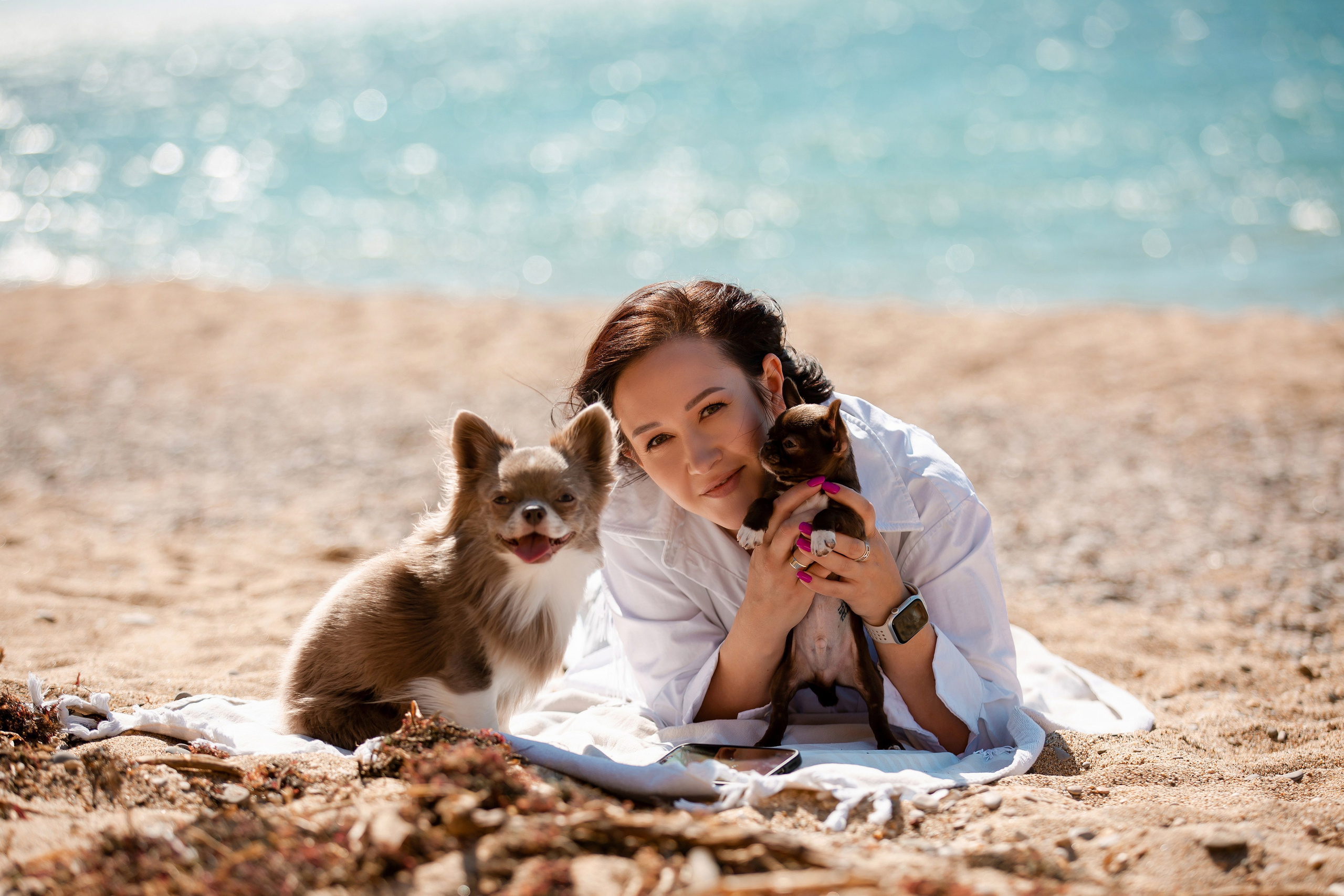 Веймаранер и чихуахуа в Крыму. Фотограф-анималист в Краснодаре Маша Мельникова