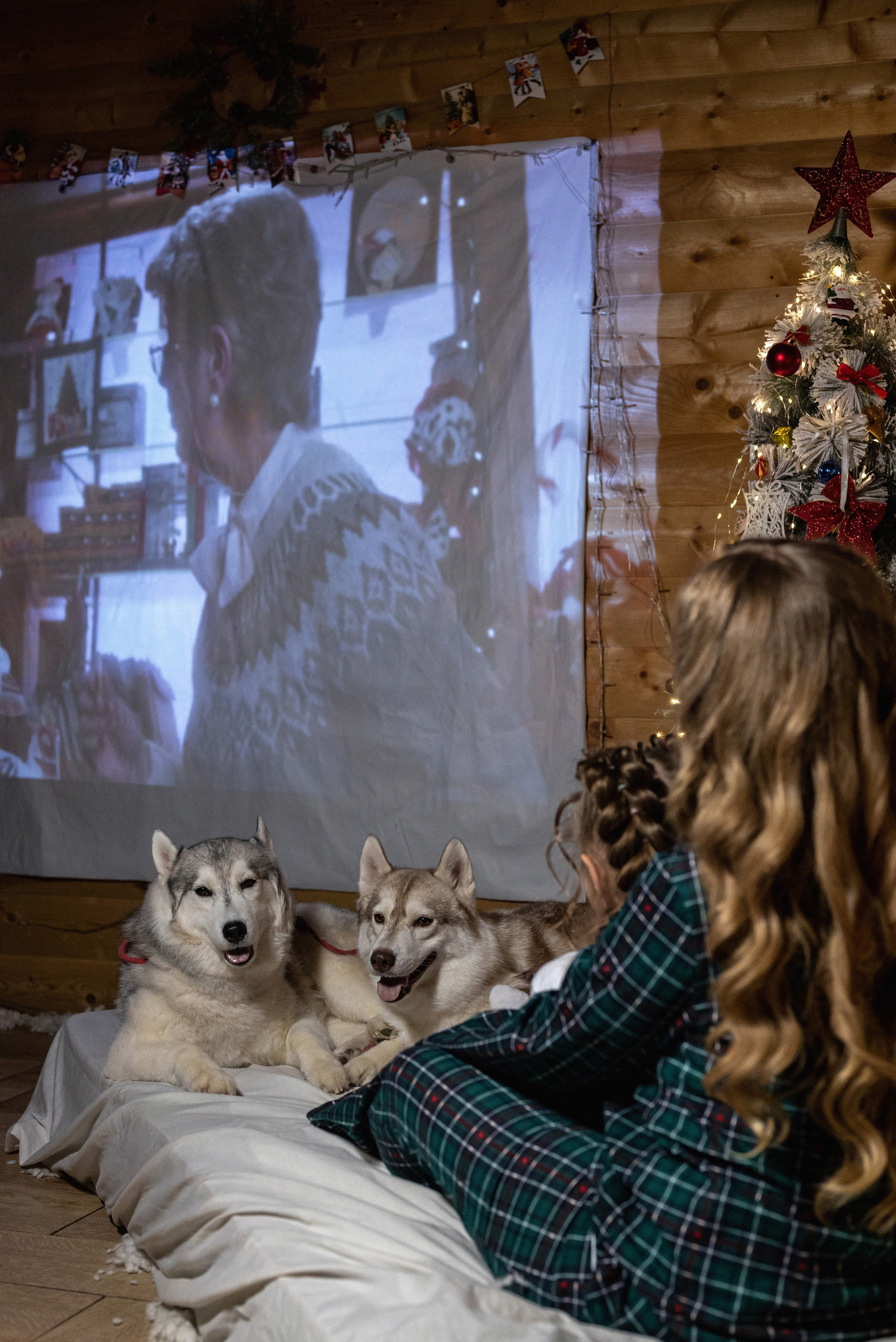Фотопроект с хаски 2024 г. Фотограф в городе Салават