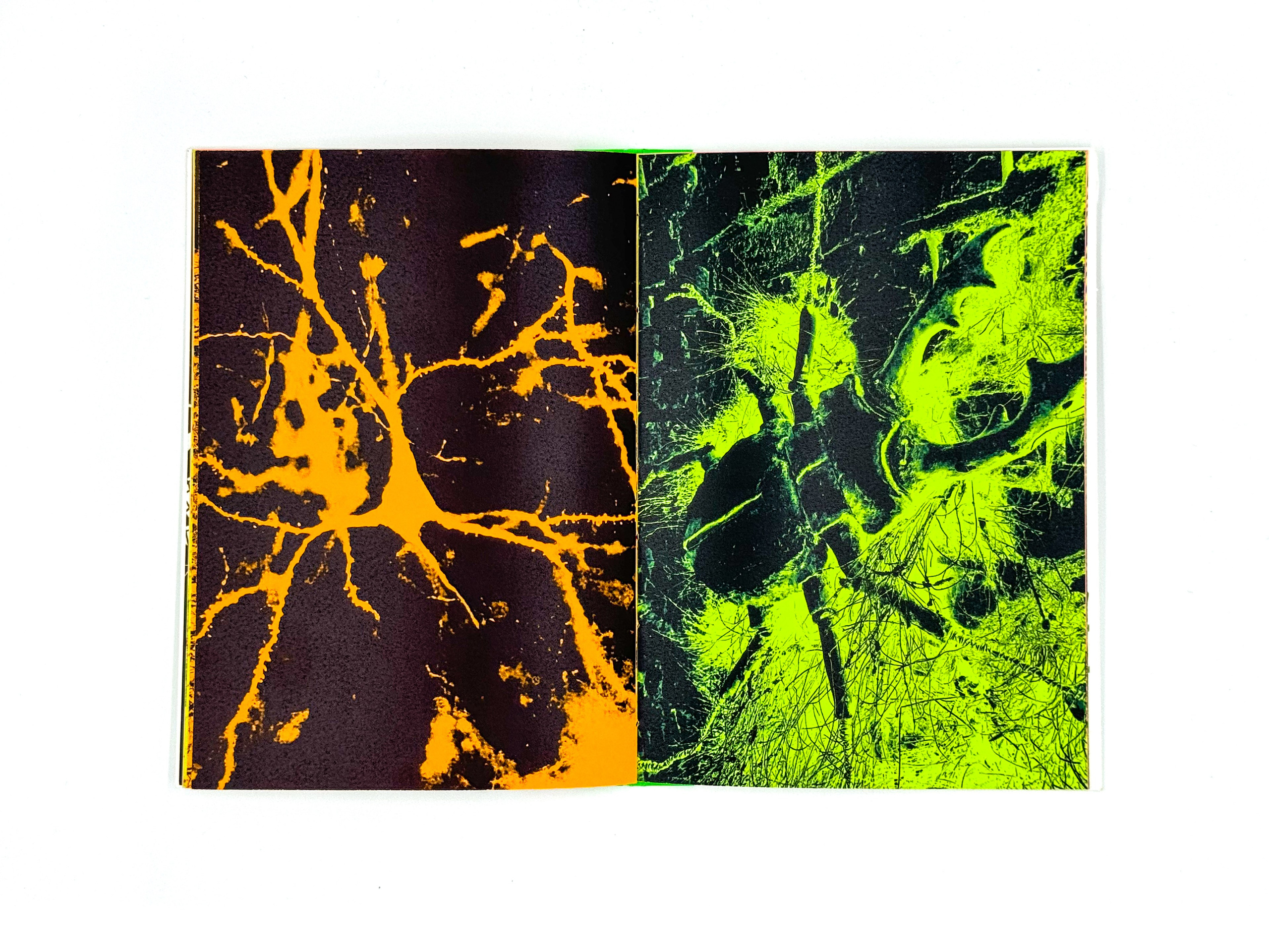 Экспедиция № 7. Лера Круглова