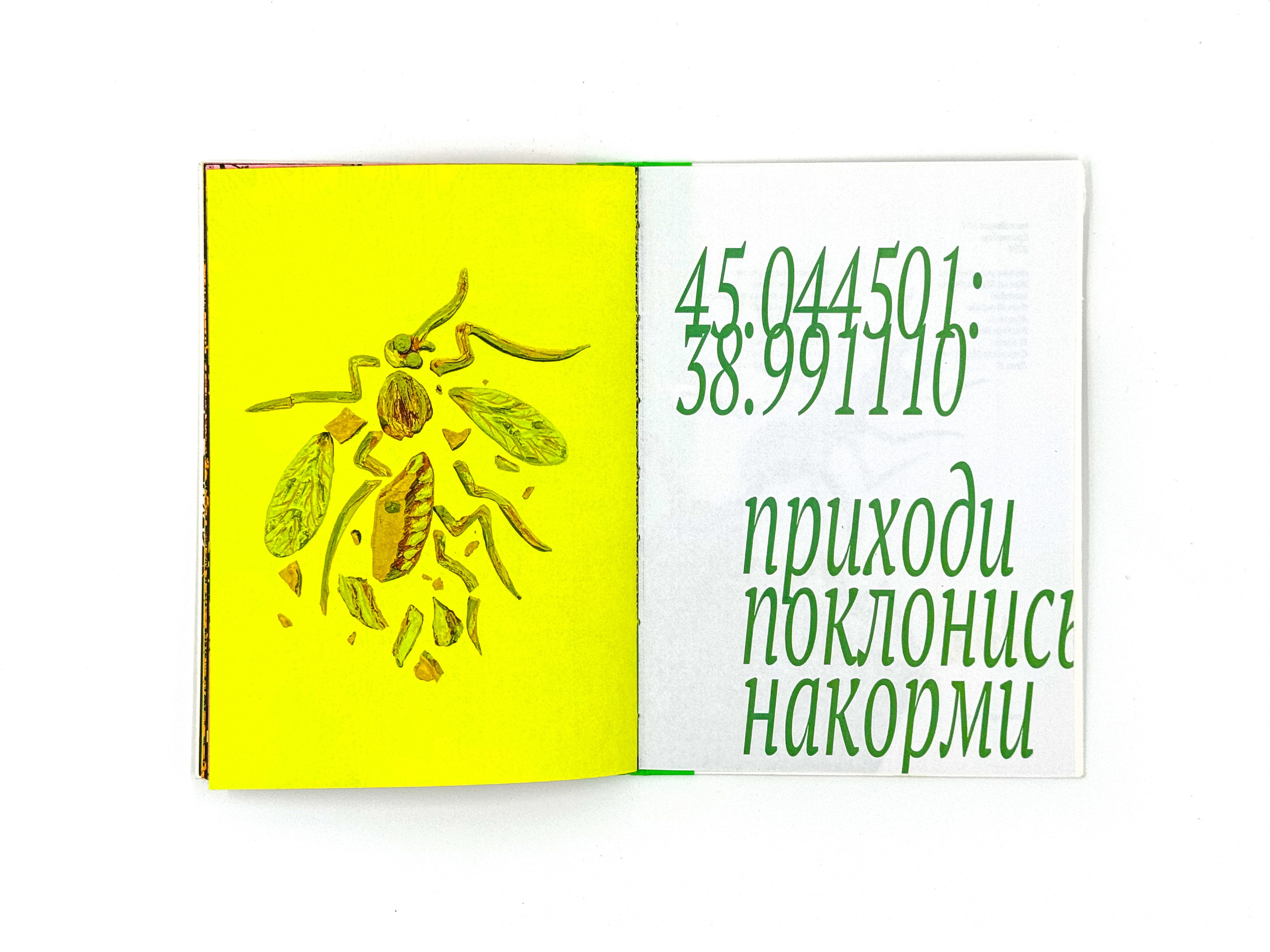 Экспедиция № 7. Лера Круглова