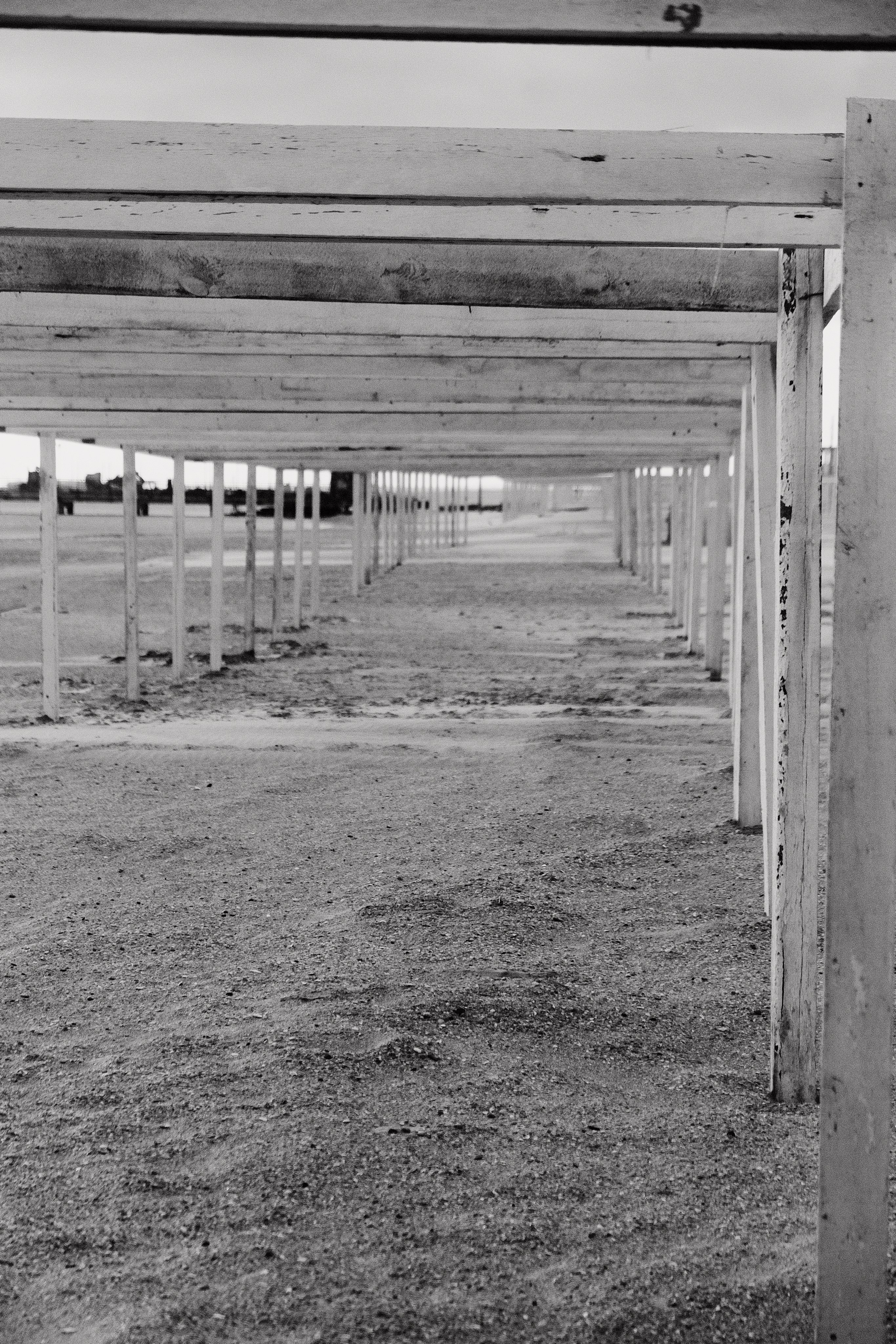 Проекты. Фотограф в Ростове-на-Дону