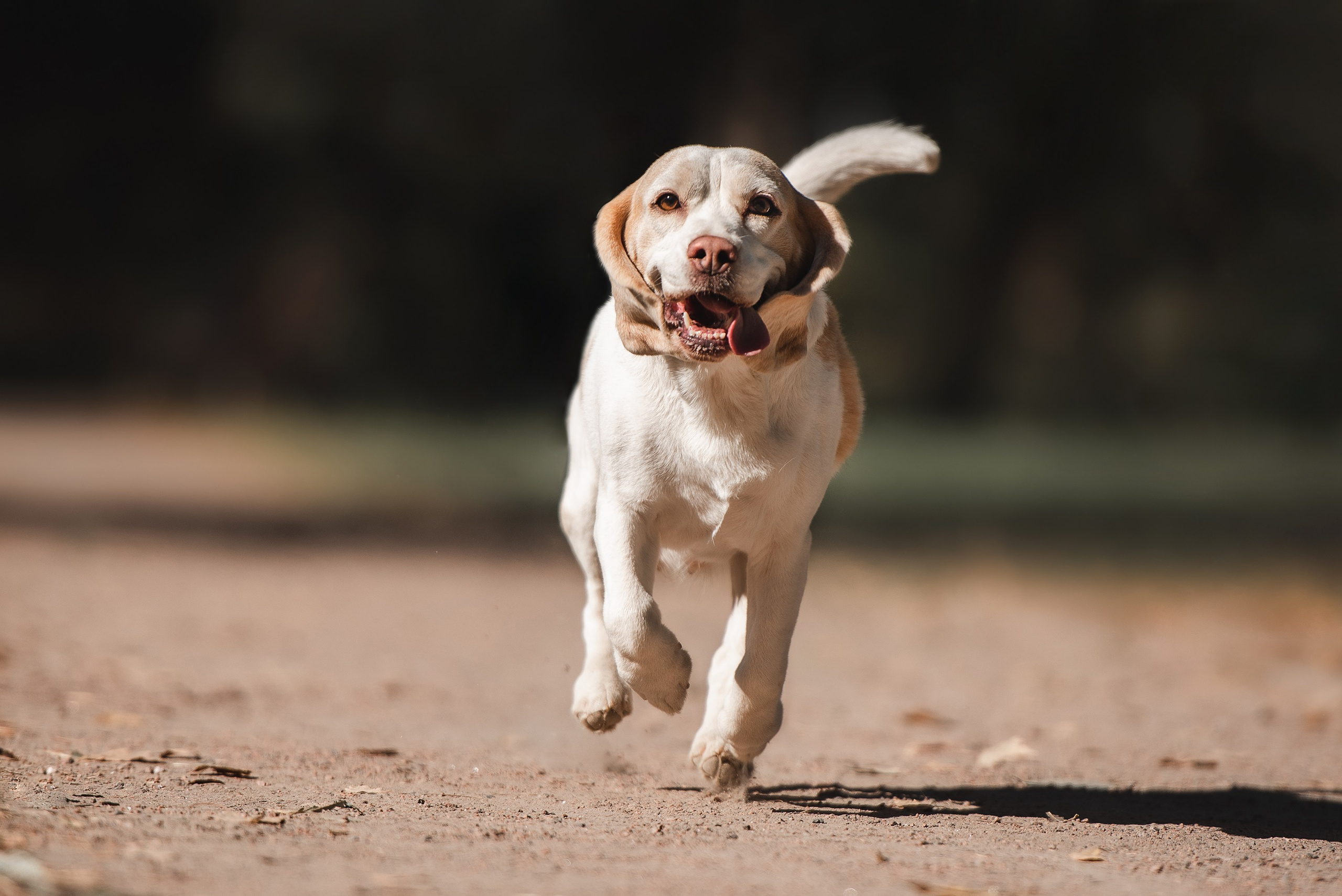 Оля и Ника. Семейный Фотограф в Москве Ирина Хохлова
