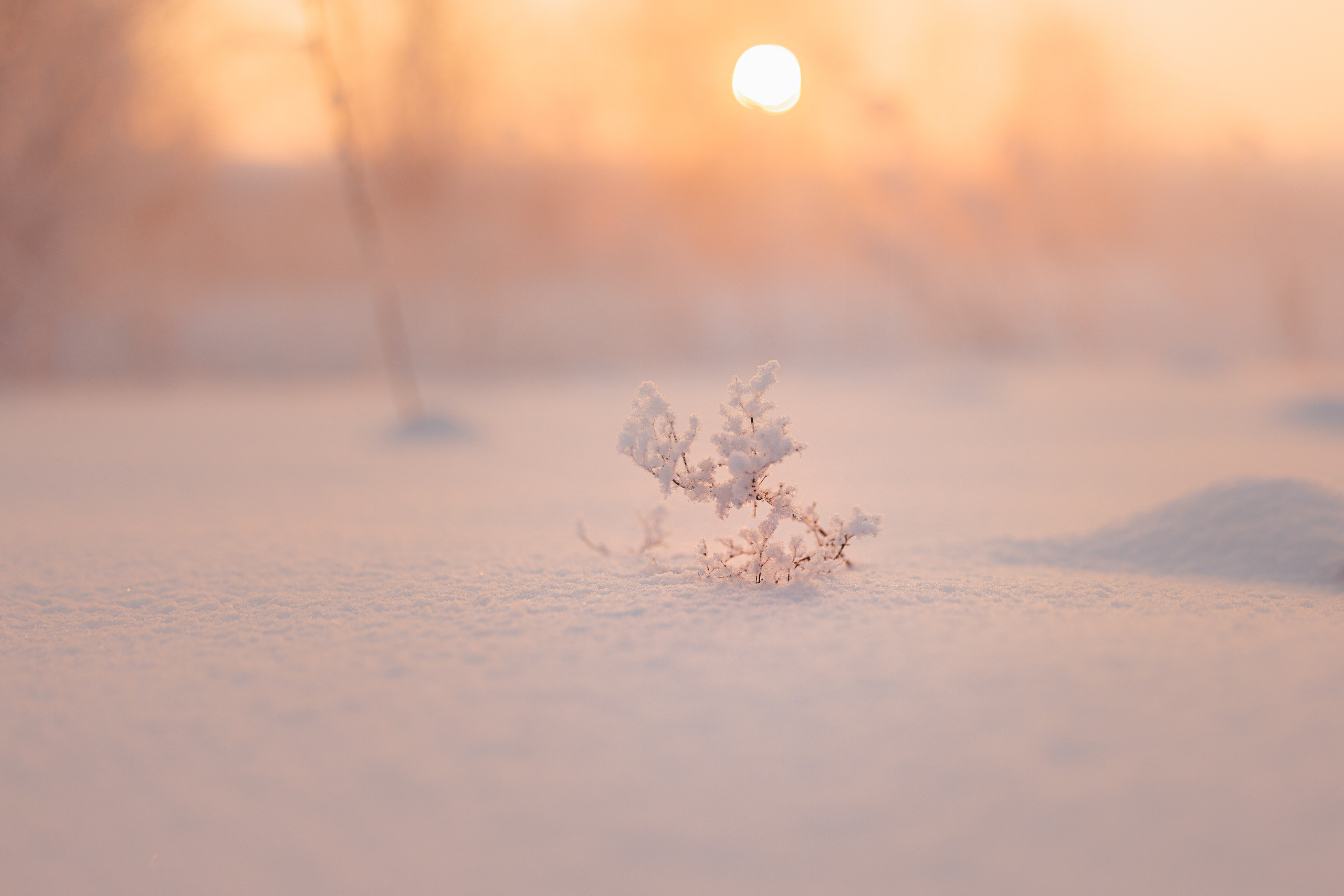 Пейзаж (вич рн) Закат. Владимир Петухов — фотограф в г. Кинешма. Оператор FPV