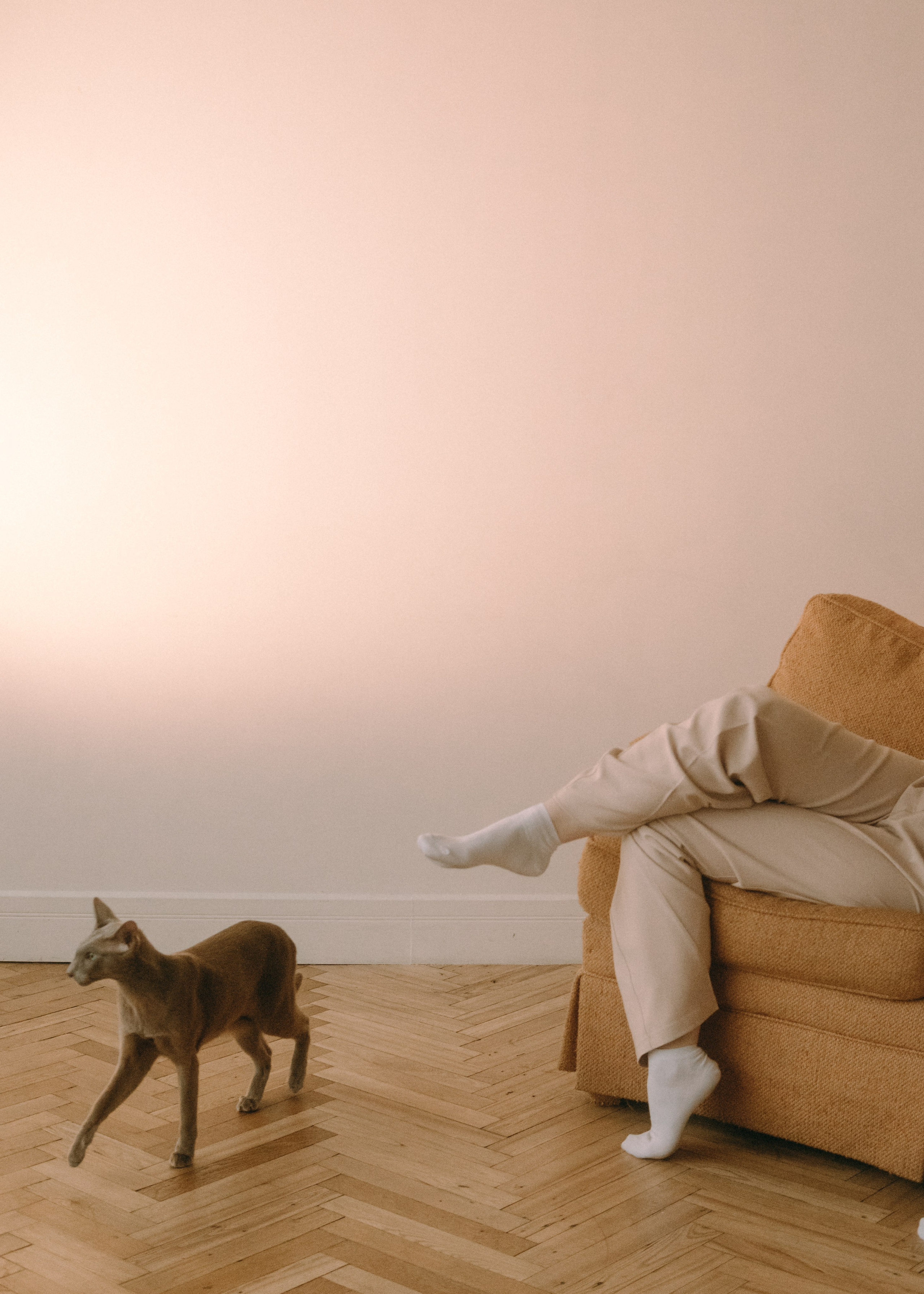 Амина, Булат и Орион. Фотограф-анималист Ксения Воробьева, Москва