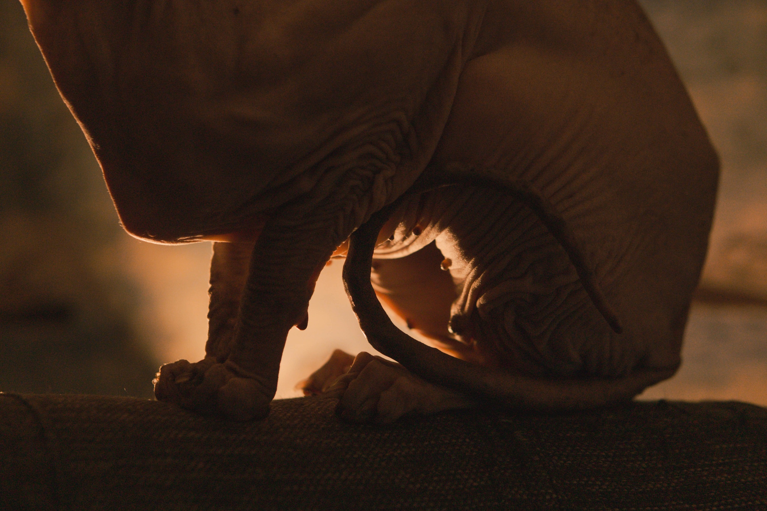 Бандит. Фотограф-анималист Ксения Воробьева, Москва