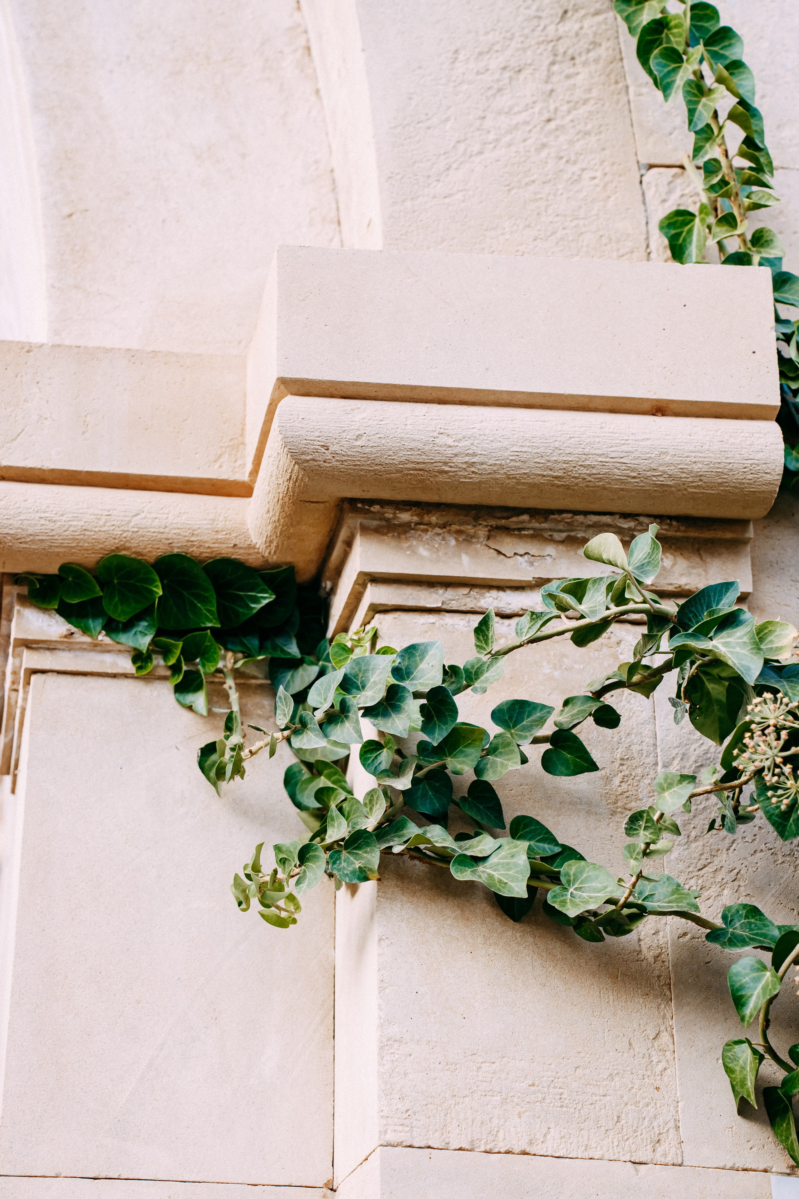 Армения. Фотосъемка, свадебная фотосъемка, Москва, Нижний Новгород